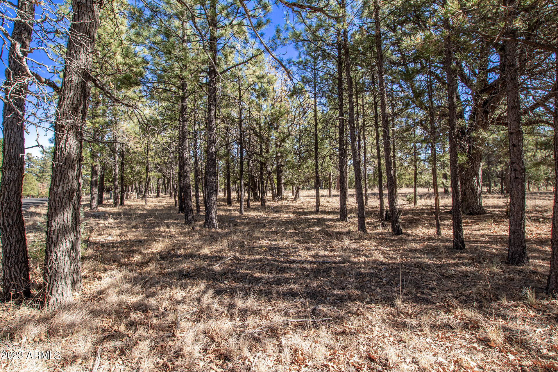 4326 TIMBERLINE Drive # 142
