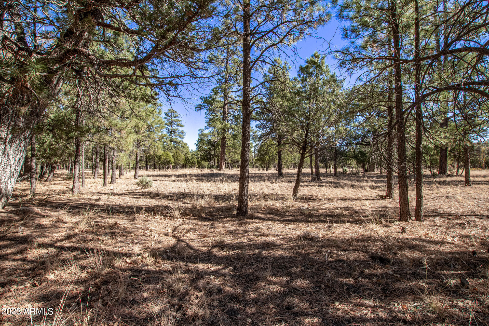 4326 TIMBERLINE Drive # 142