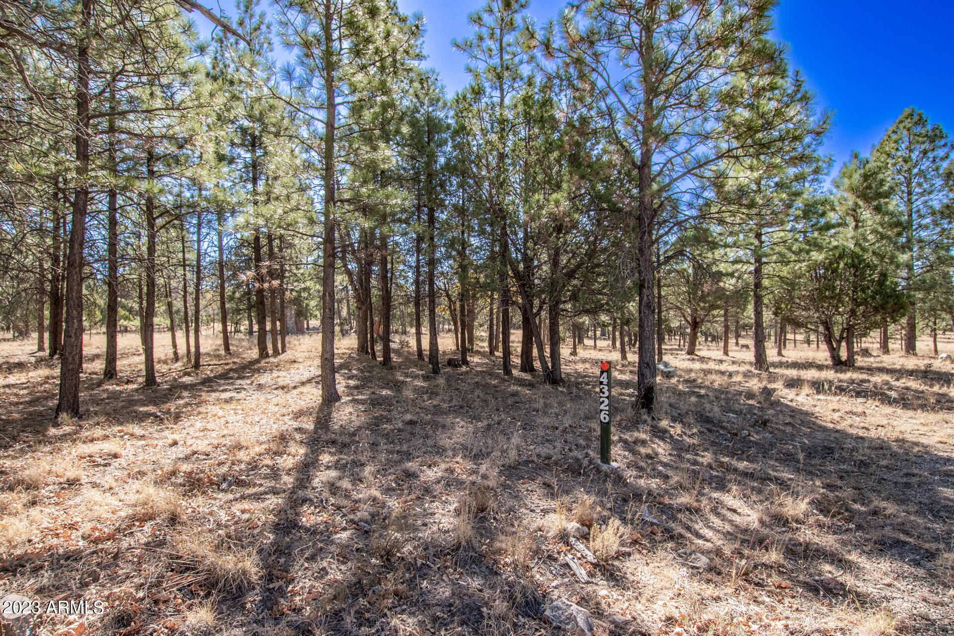 4326 TIMBERLINE Drive # 142