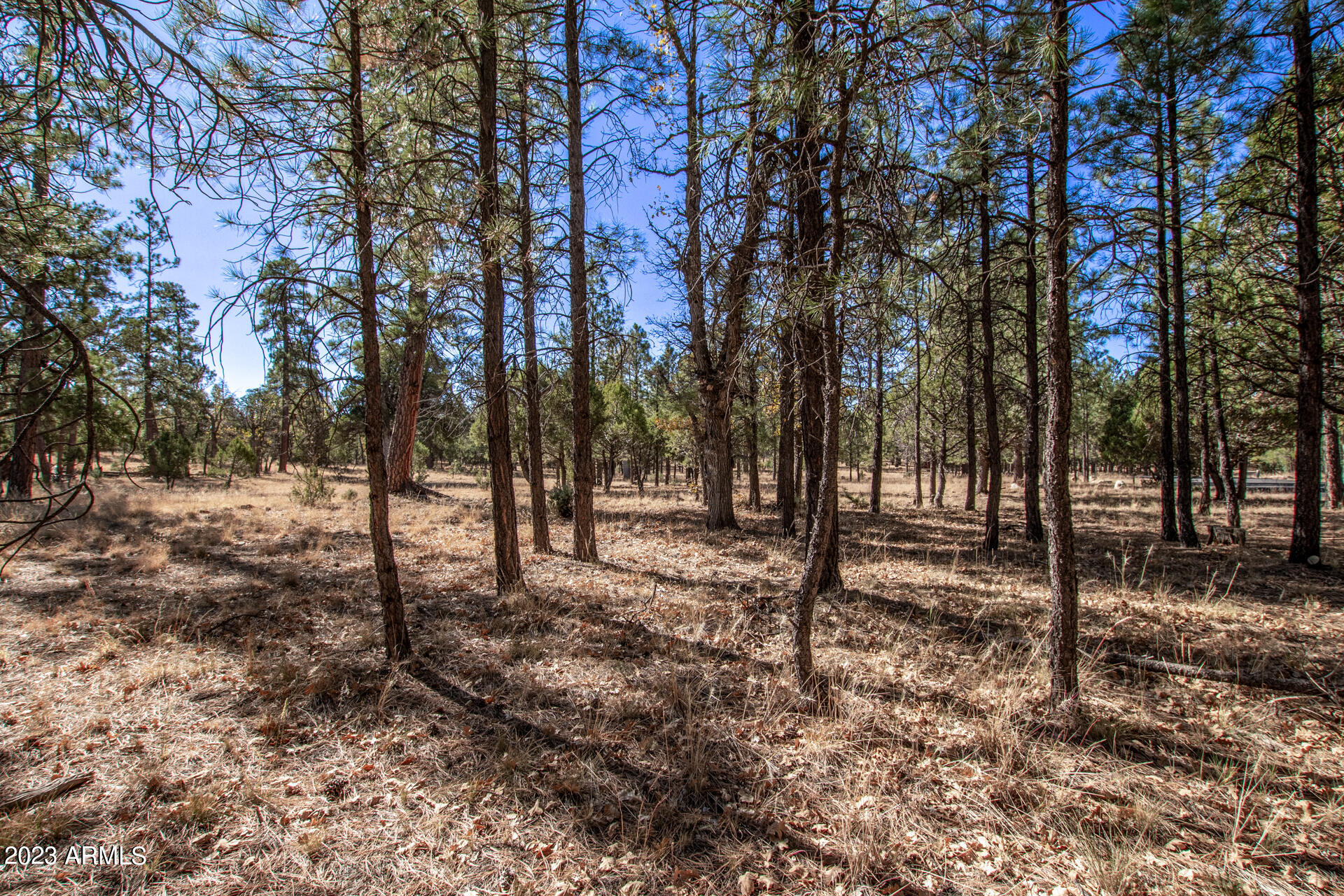 4326 TIMBERLINE Drive # 142