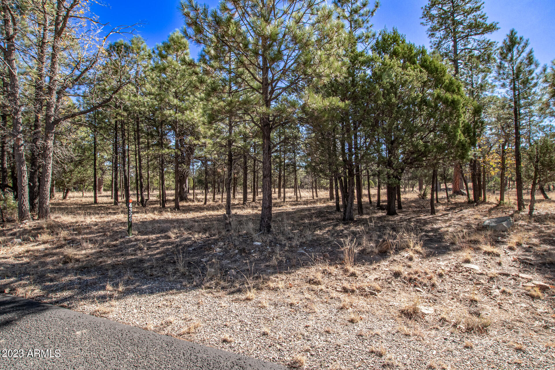 4326 TIMBERLINE Drive # 142