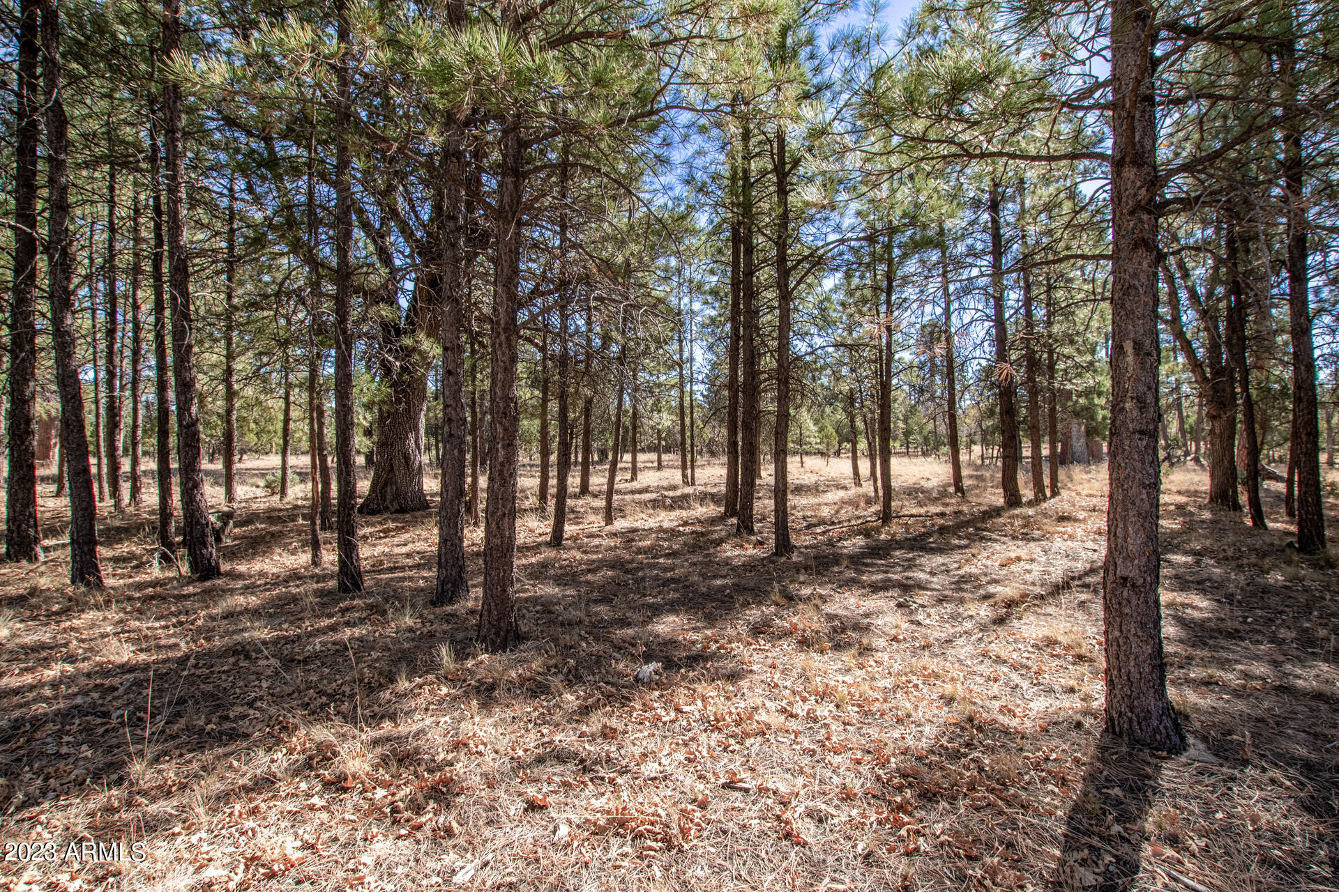 4326 TIMBERLINE Drive # 142