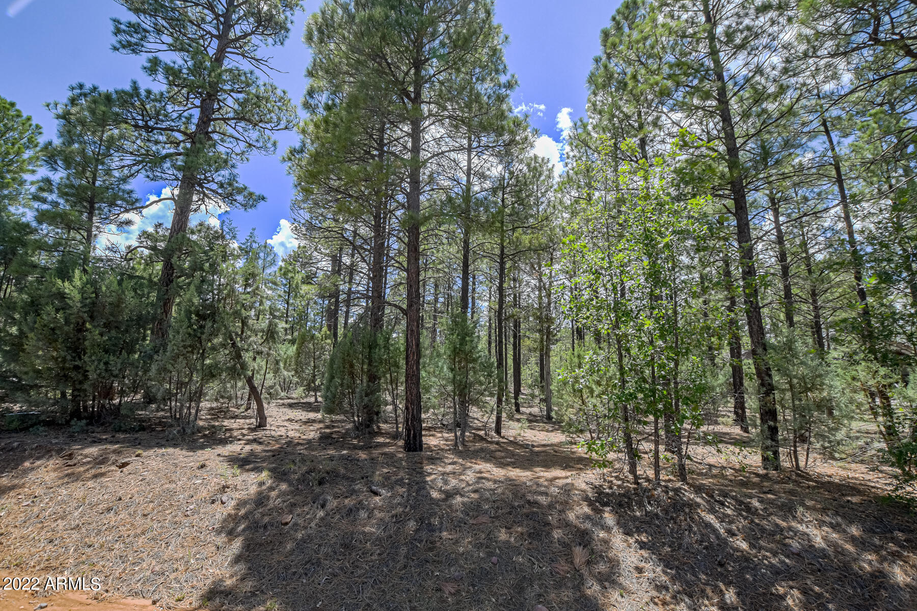 2800 W Sage Lane # 217