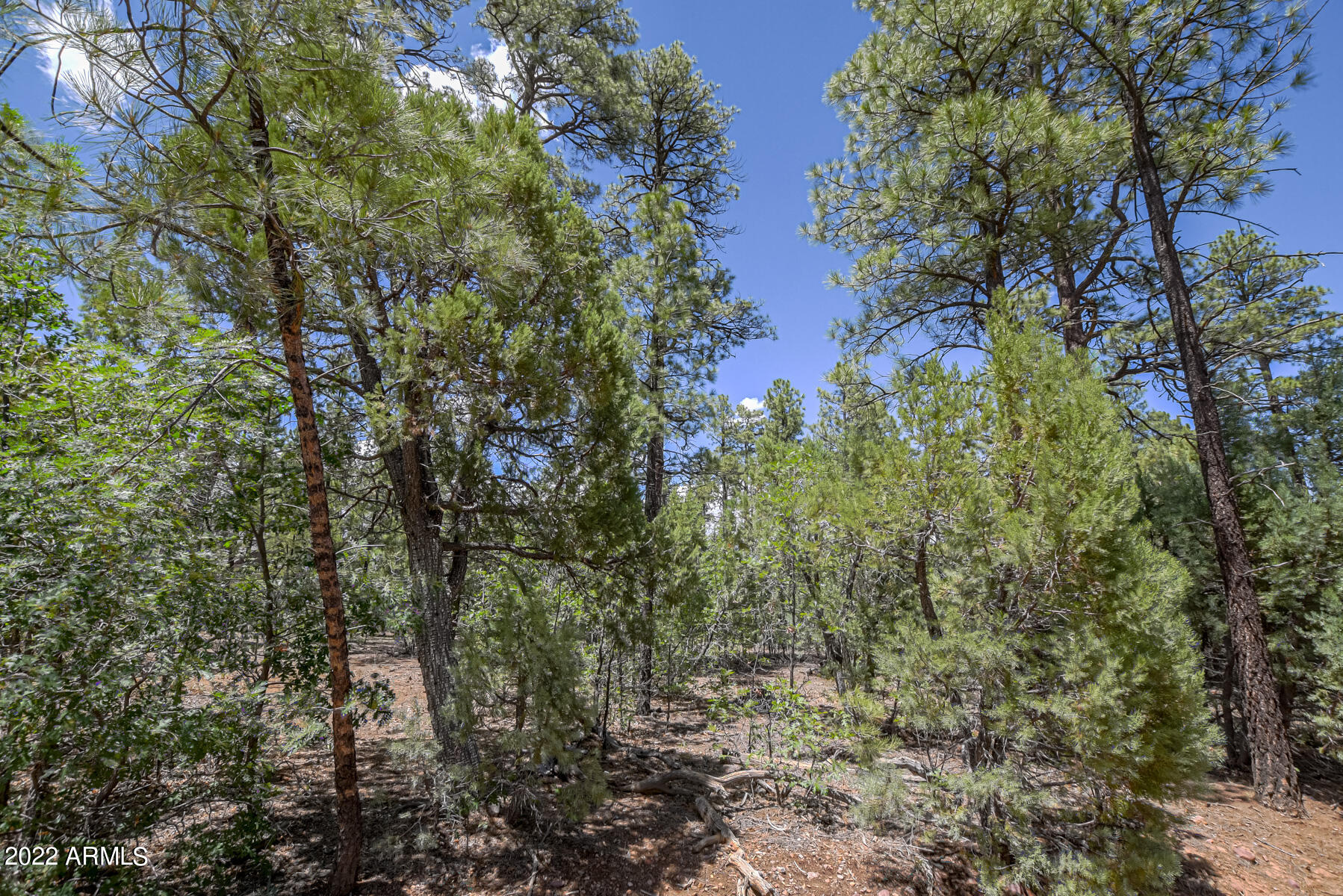 2800 W Sage Lane # 217