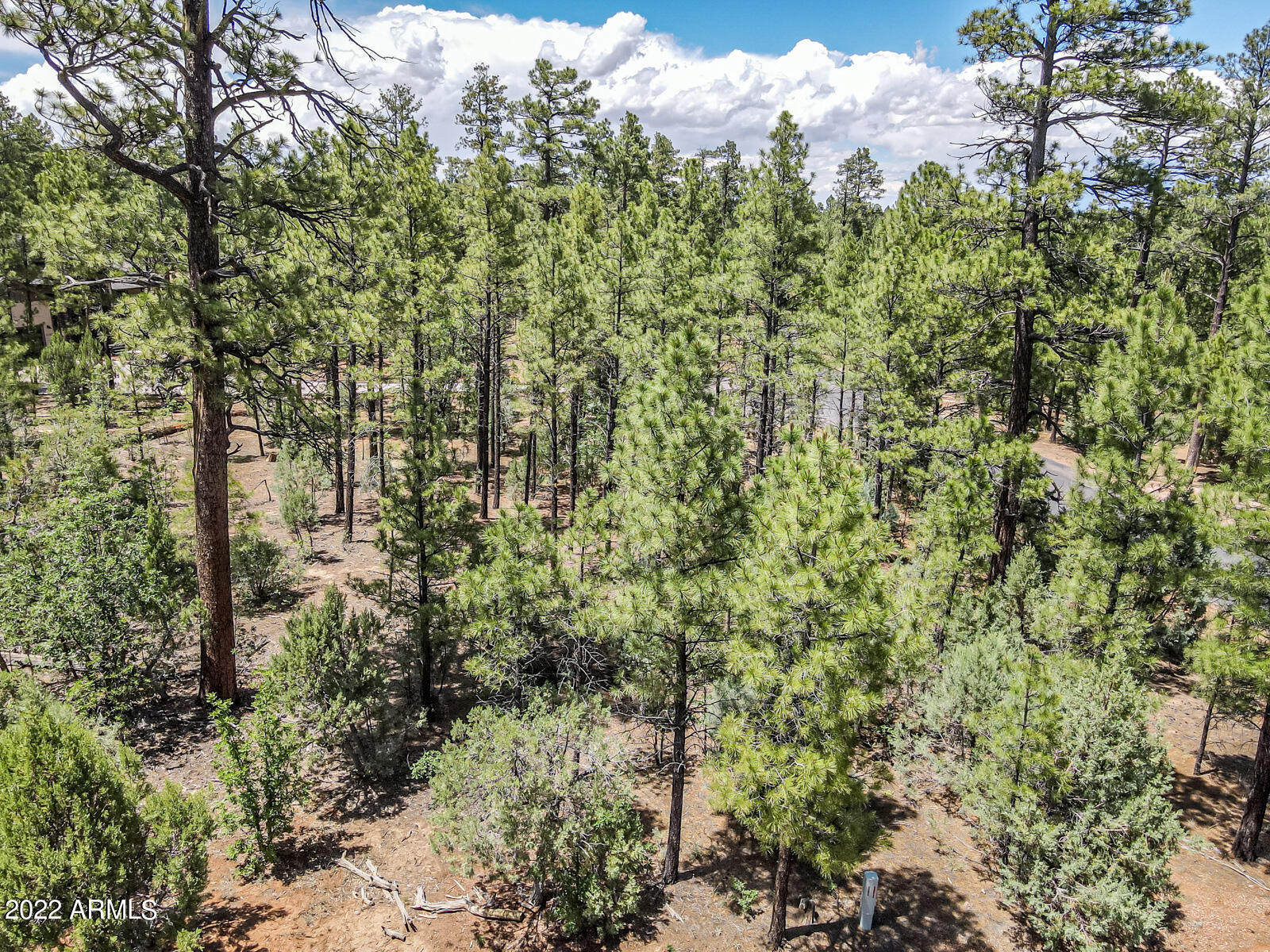 2800 W Sage Lane # 217