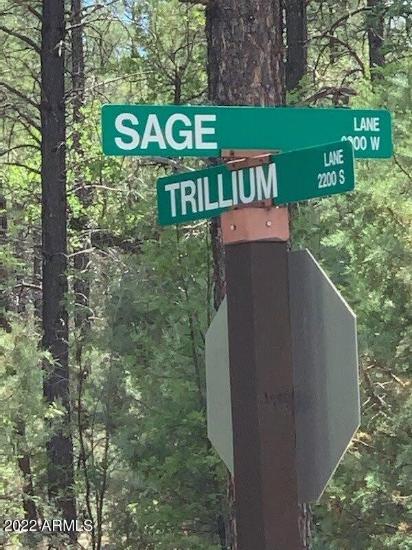 2800 W Sage Lane # 217