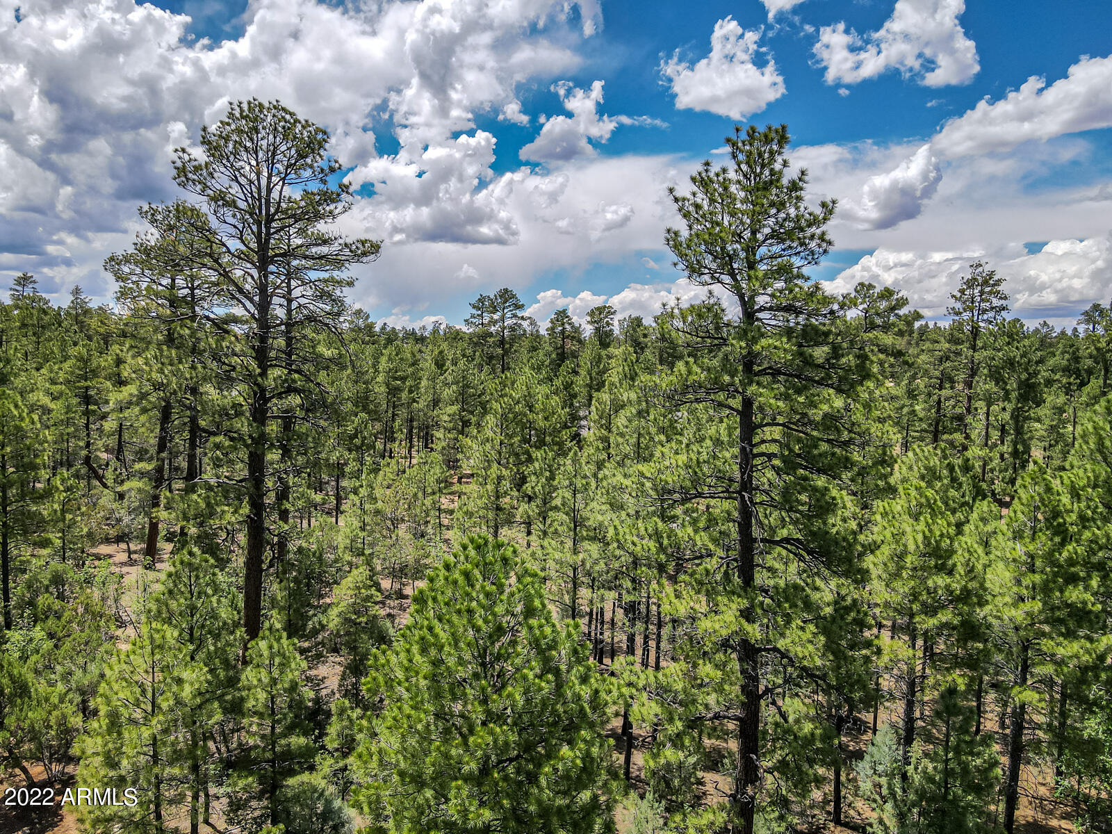 2800 W Sage Lane # 217