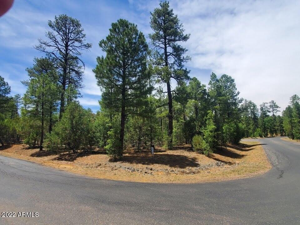 2800 W Sage Lane # 217