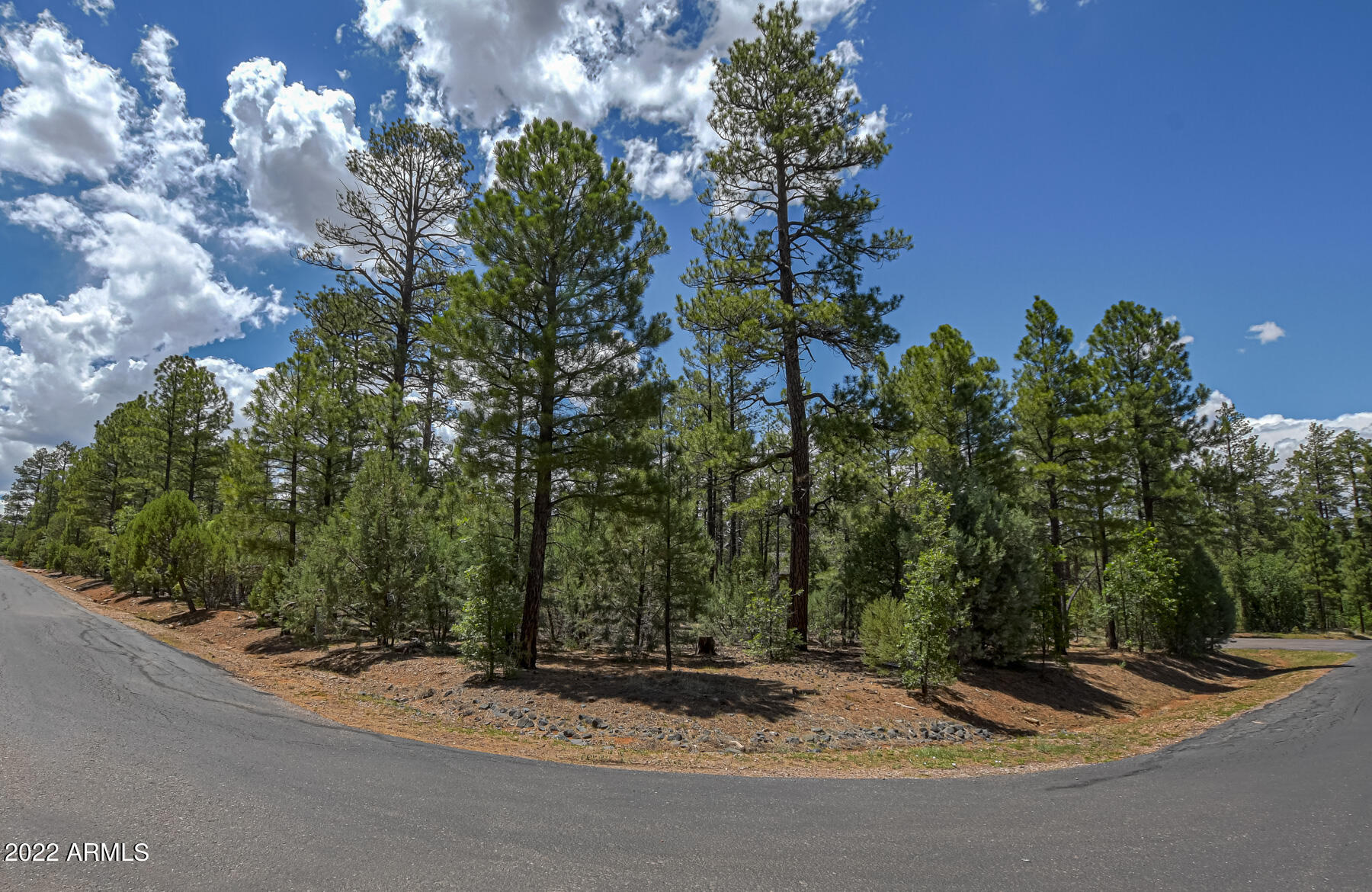 2800 W Sage Lane # 217