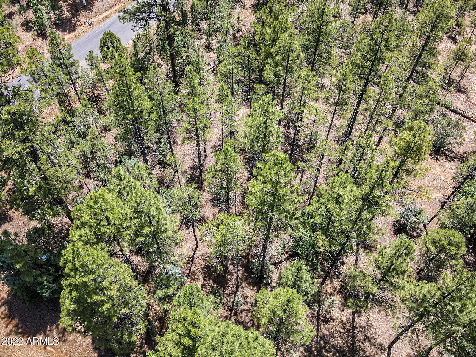 2800 W Sage Lane # 217