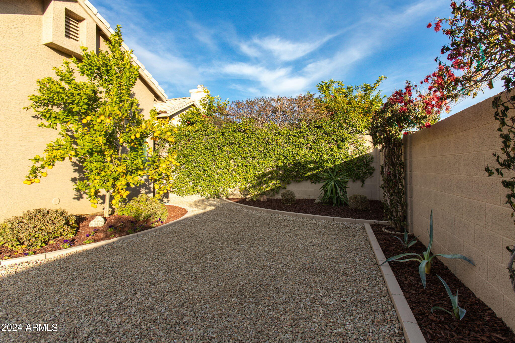 11127 E BLUE SKY Drive