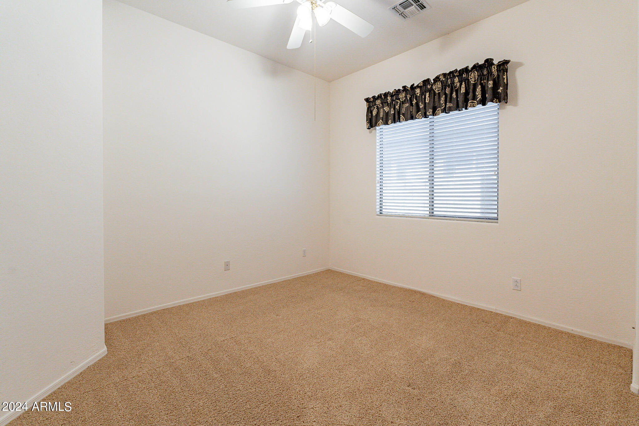 3001 W SILVER FOX Way