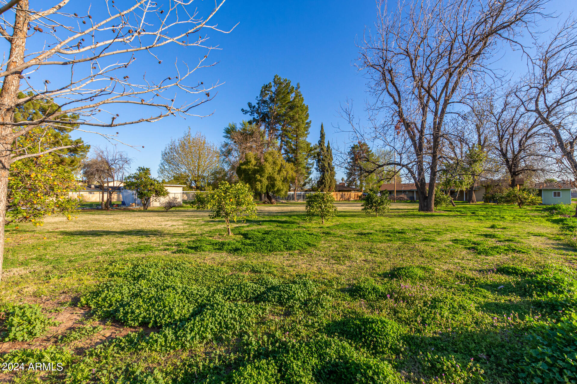 1118 E DOLPHIN Circle