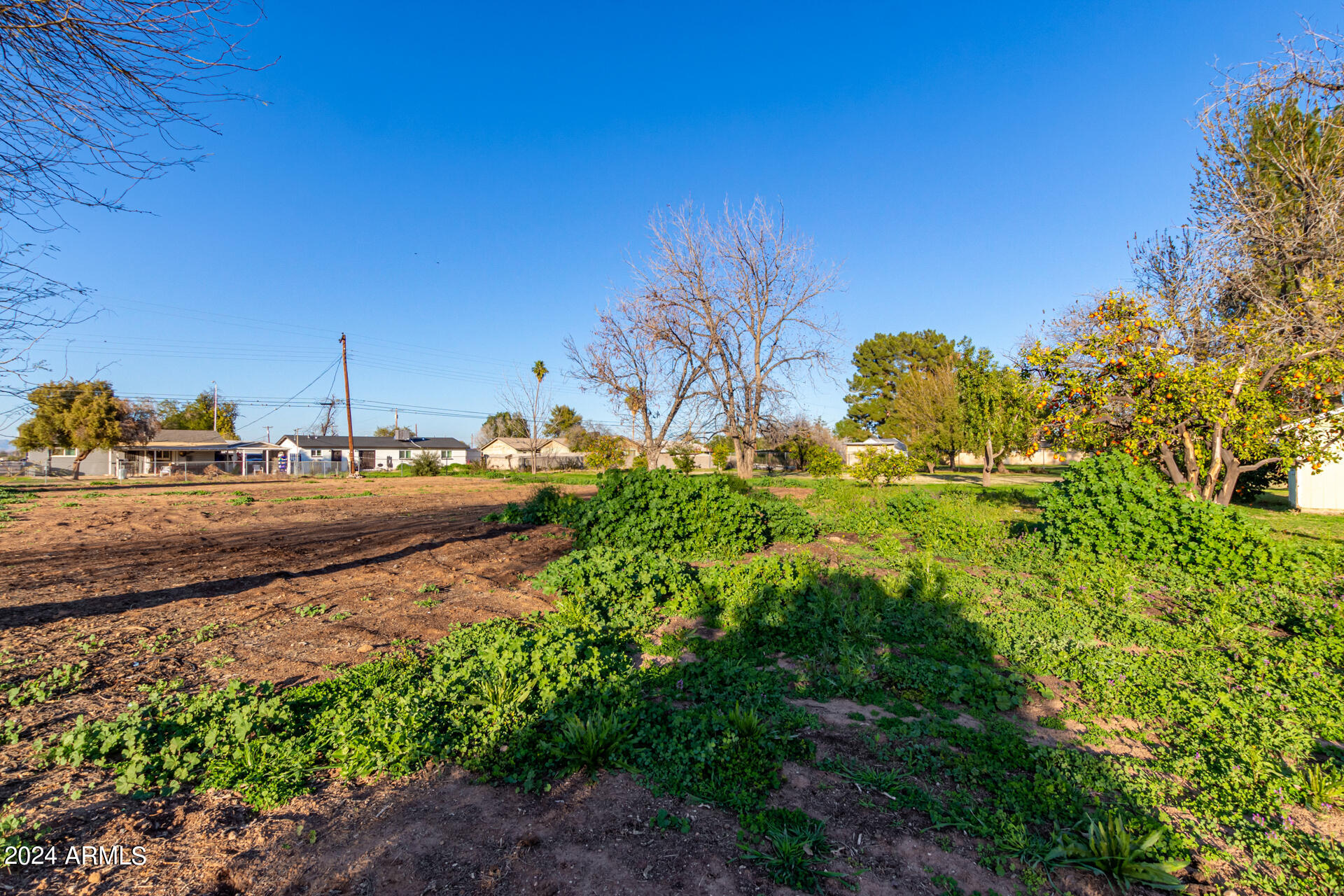1118 E DOLPHIN Circle