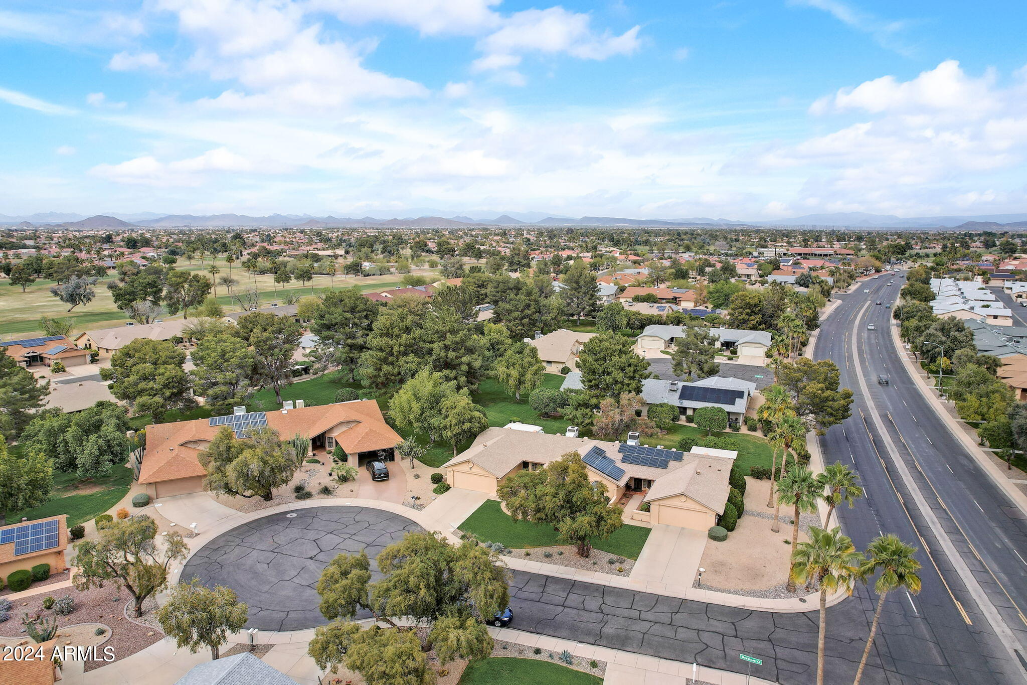 20207 N MEDALLION Court
