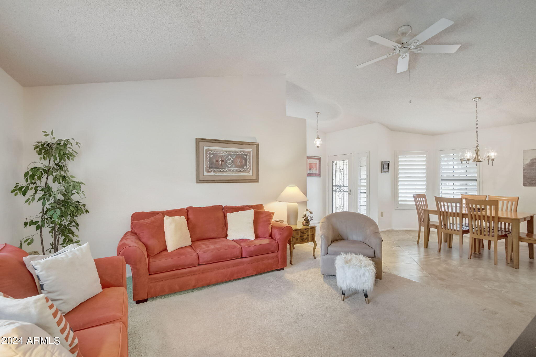20207 N MEDALLION Court