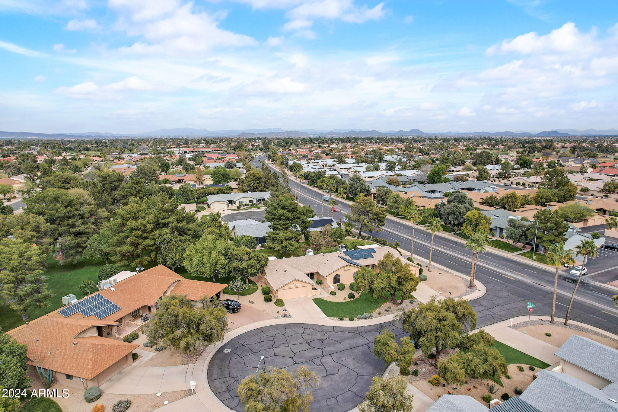 20207 N MEDALLION Court
