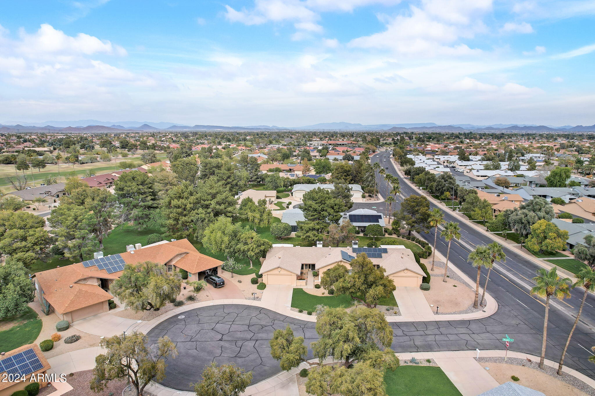 20207 N MEDALLION Court