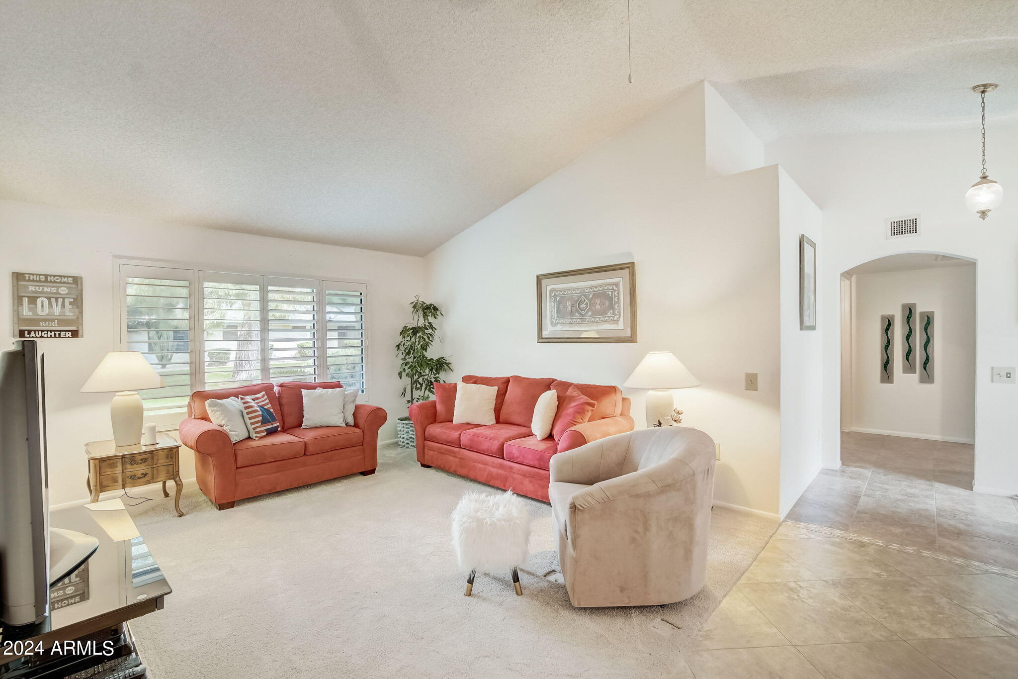 20207 N MEDALLION Court