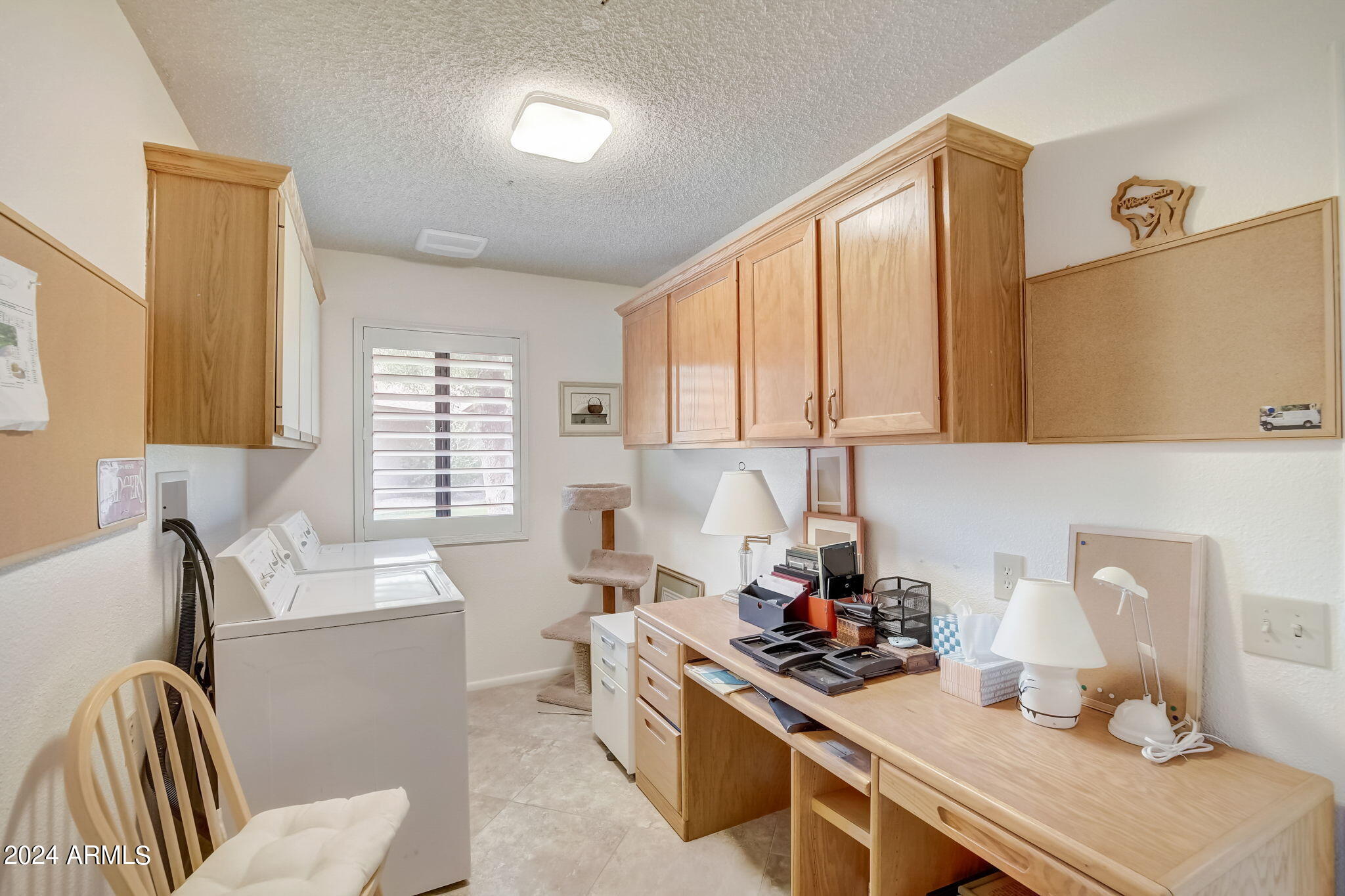 20207 N MEDALLION Court