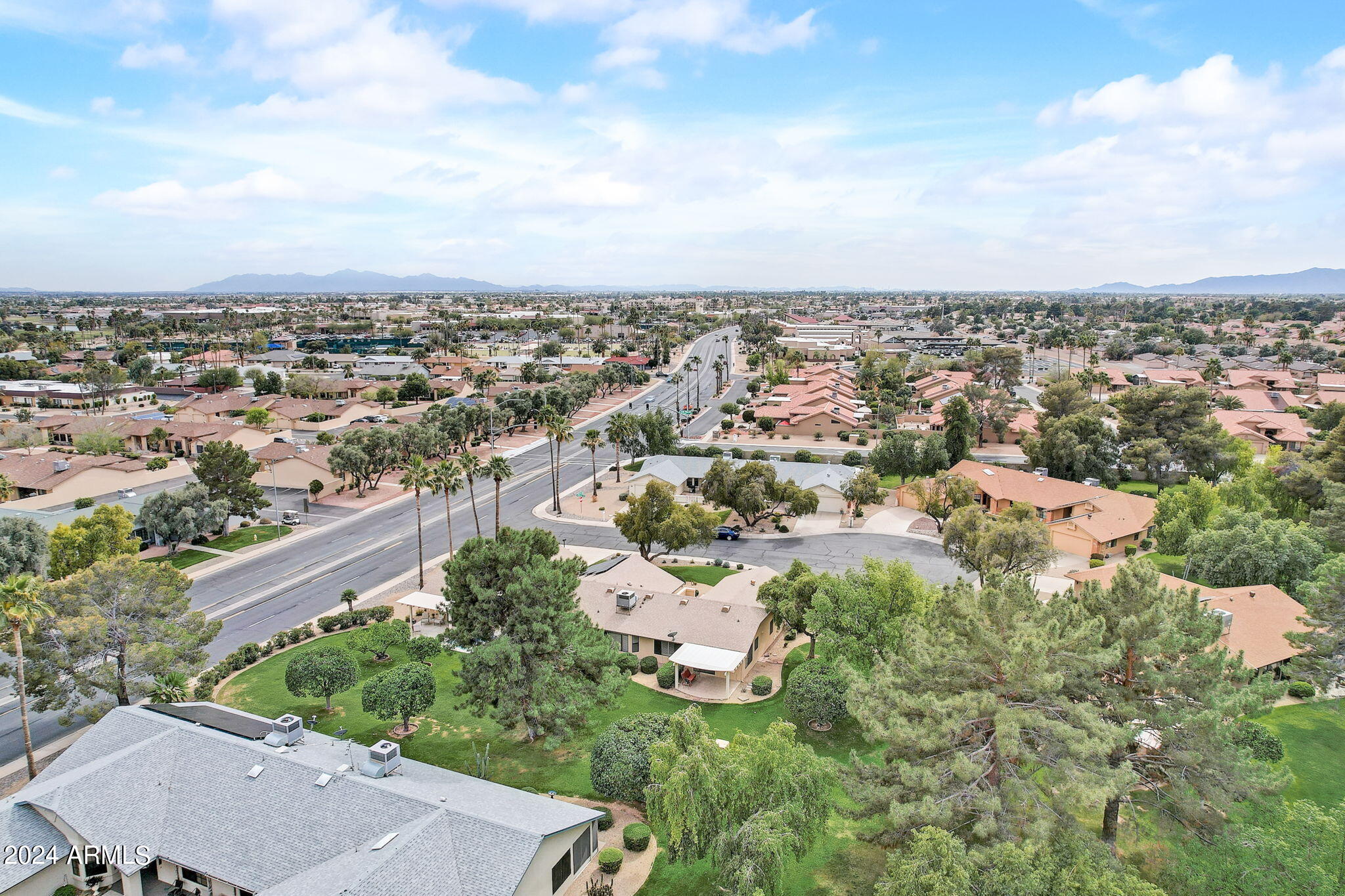 20207 N MEDALLION Court