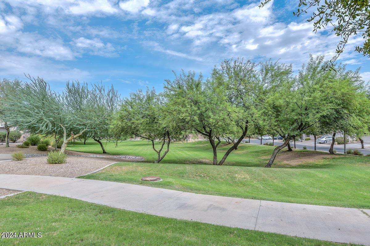 11141 N 162ND Drive