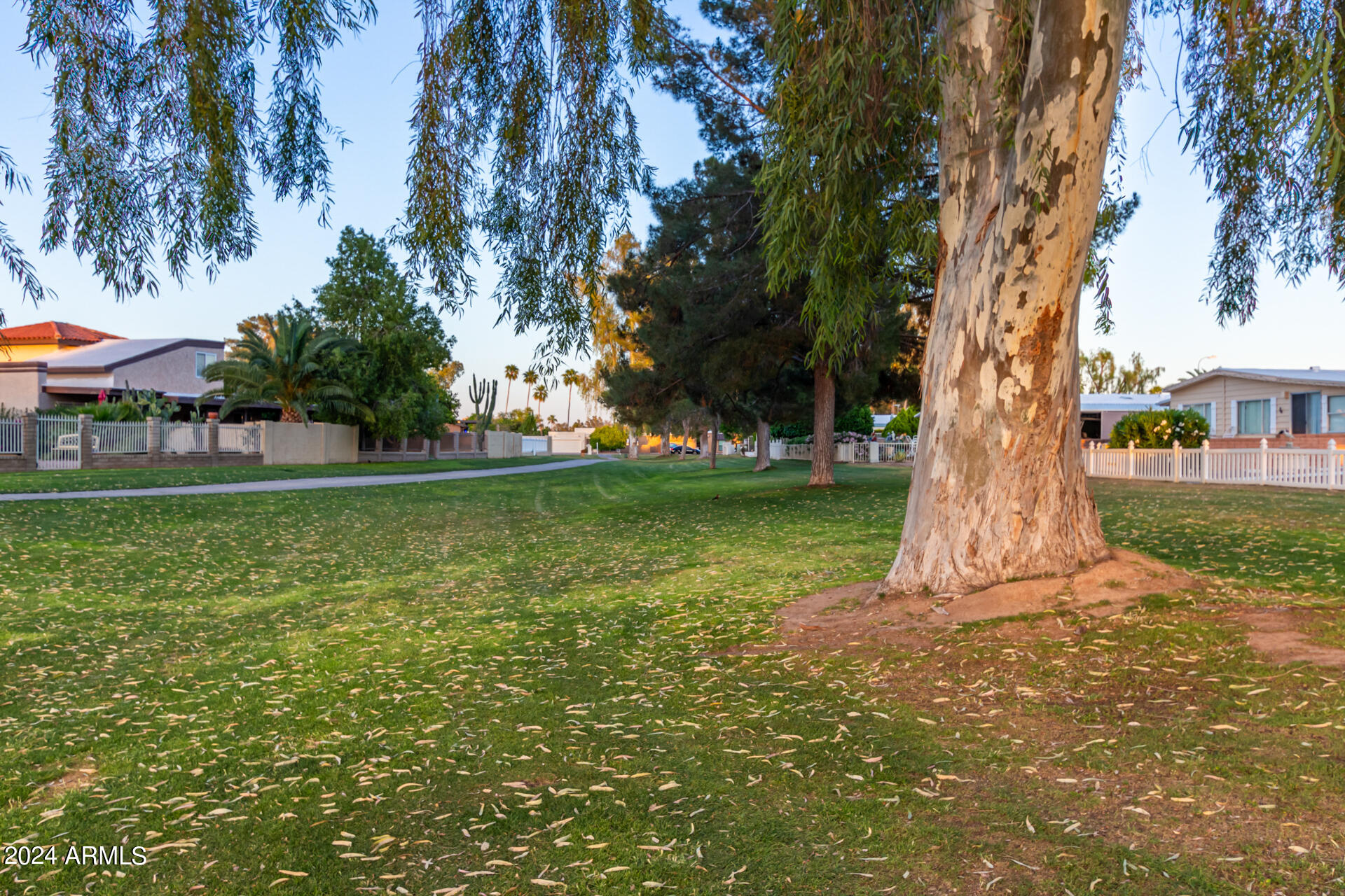 10525 E SUNNYDALE Drive