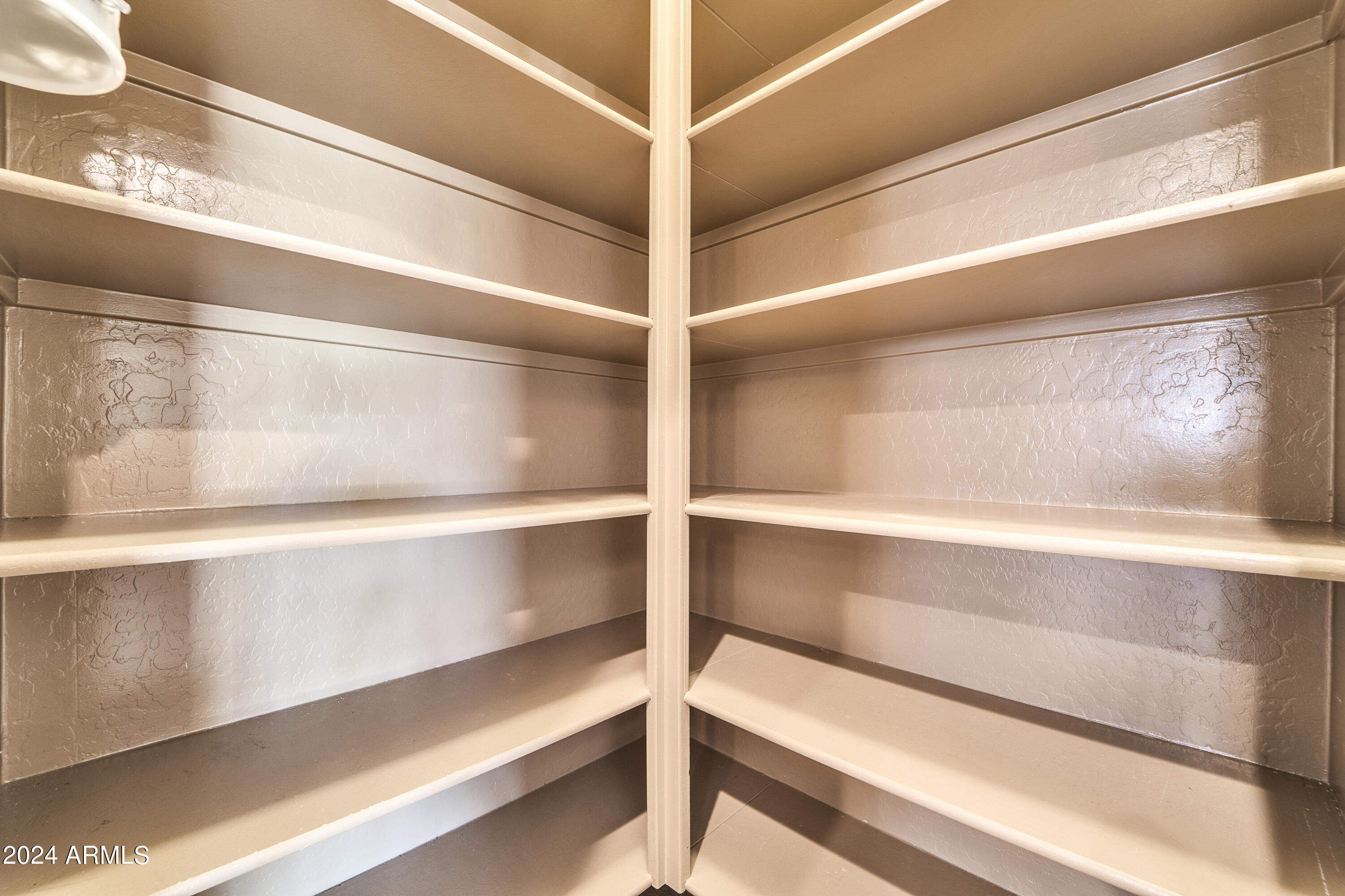 18440 W SURPRISE FARMS Loop N