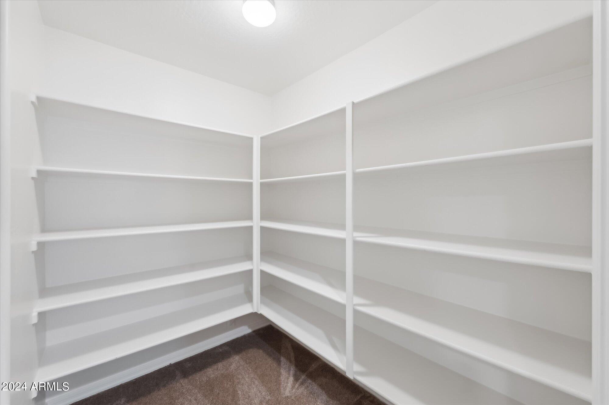 33550 N DOVE LAKES Drive # 1004