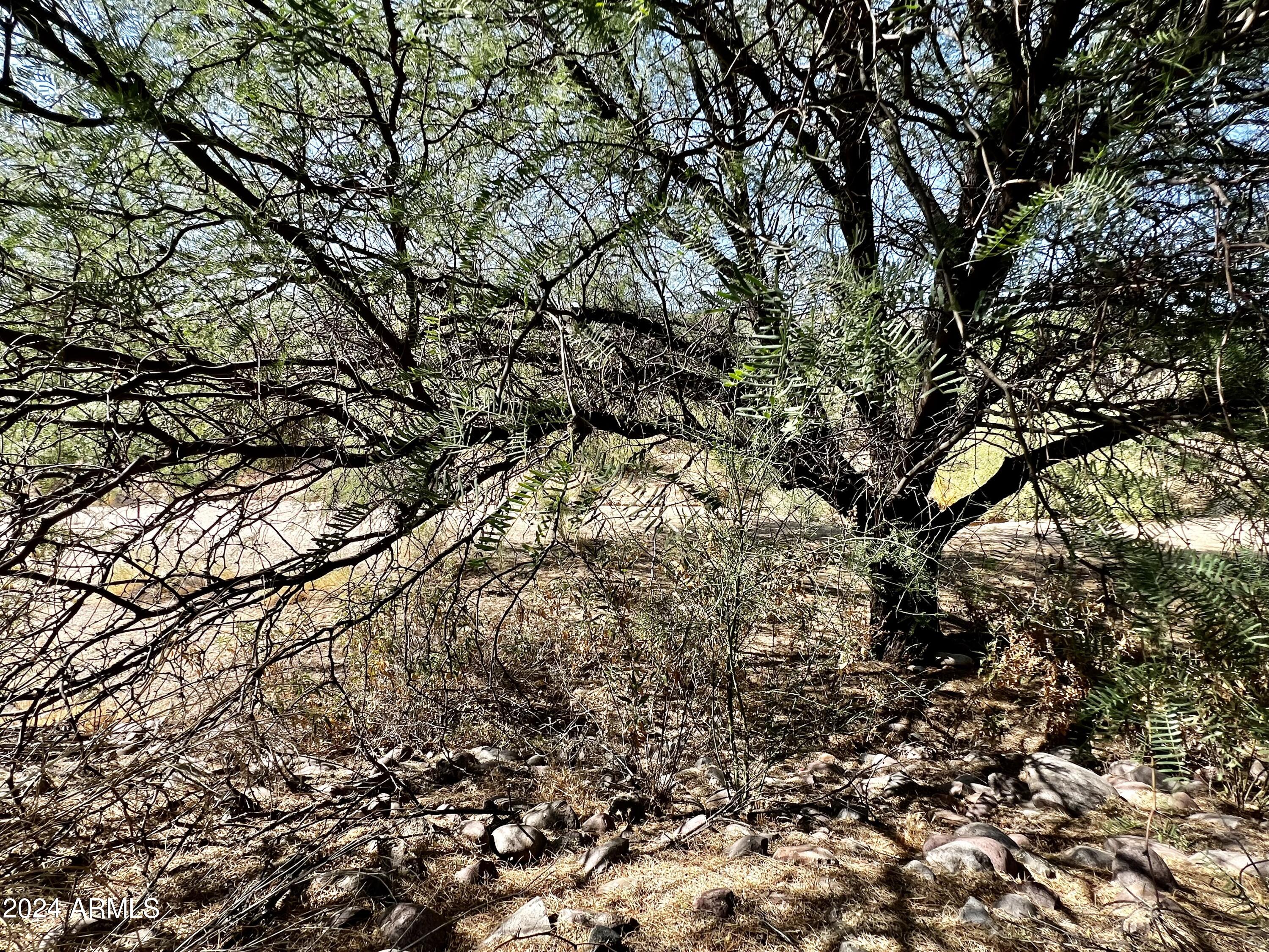 7336 E SAND HILLS Road