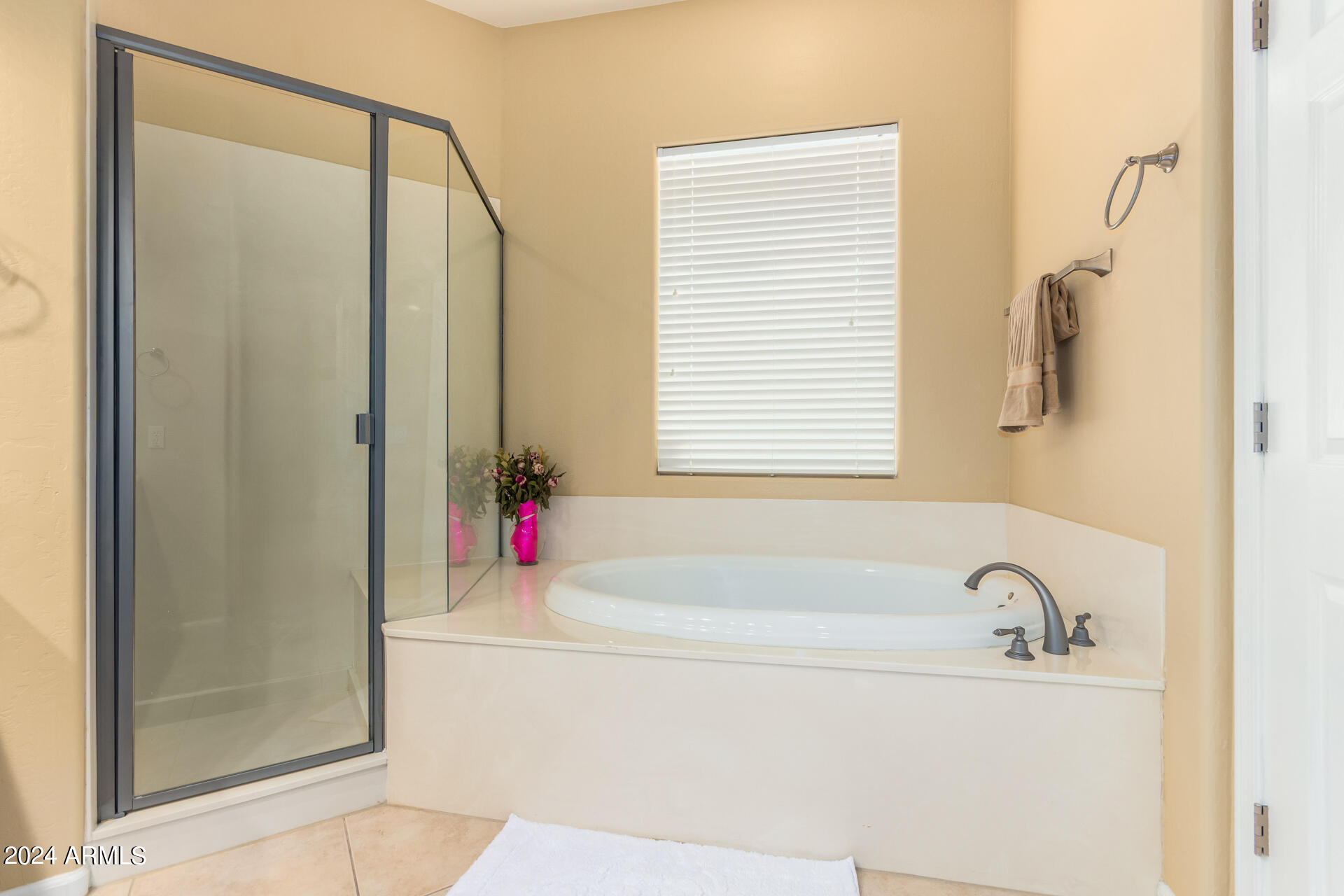 20802 N GRAYHAWK Drive # 1104