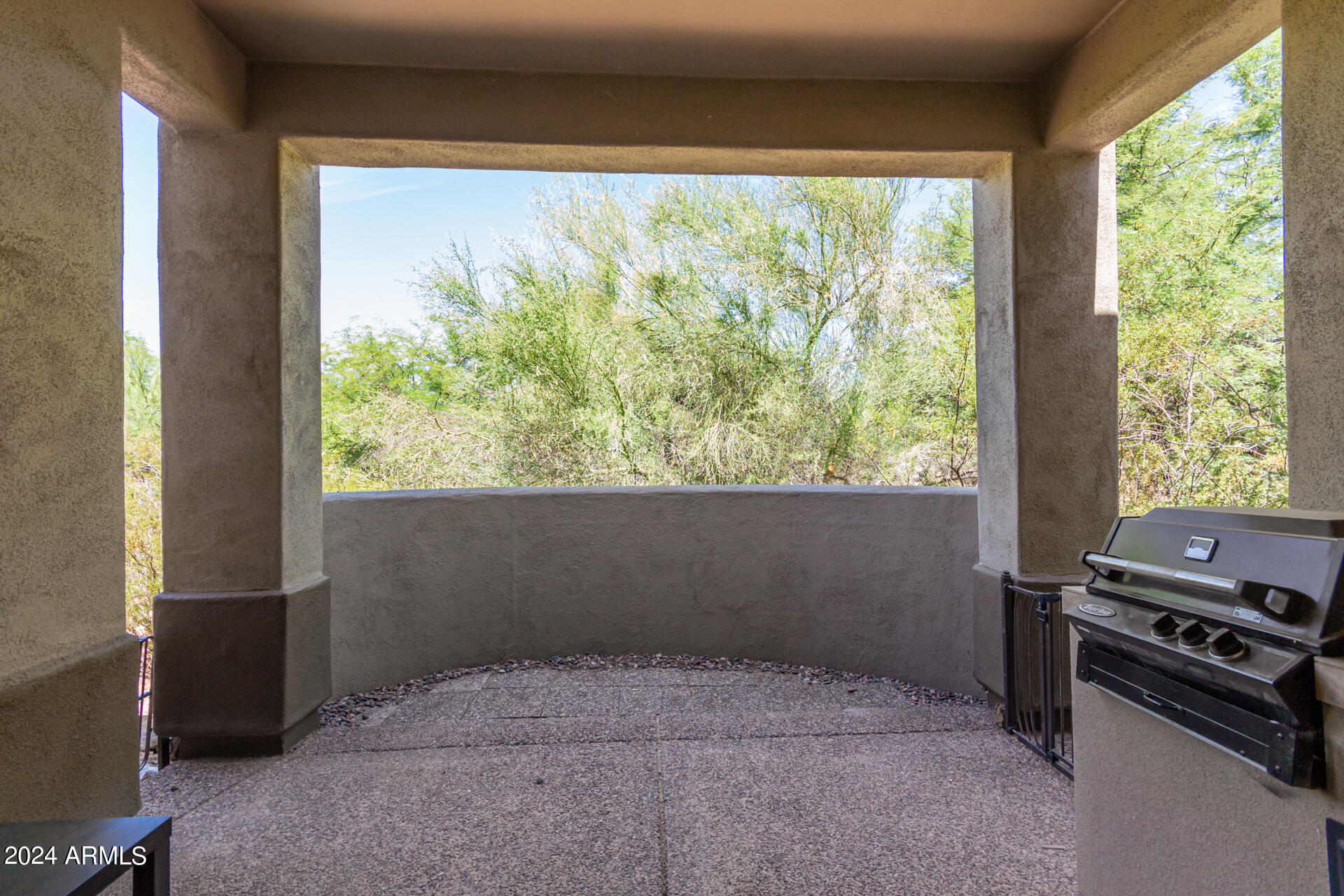 20802 N GRAYHAWK Drive # 1104