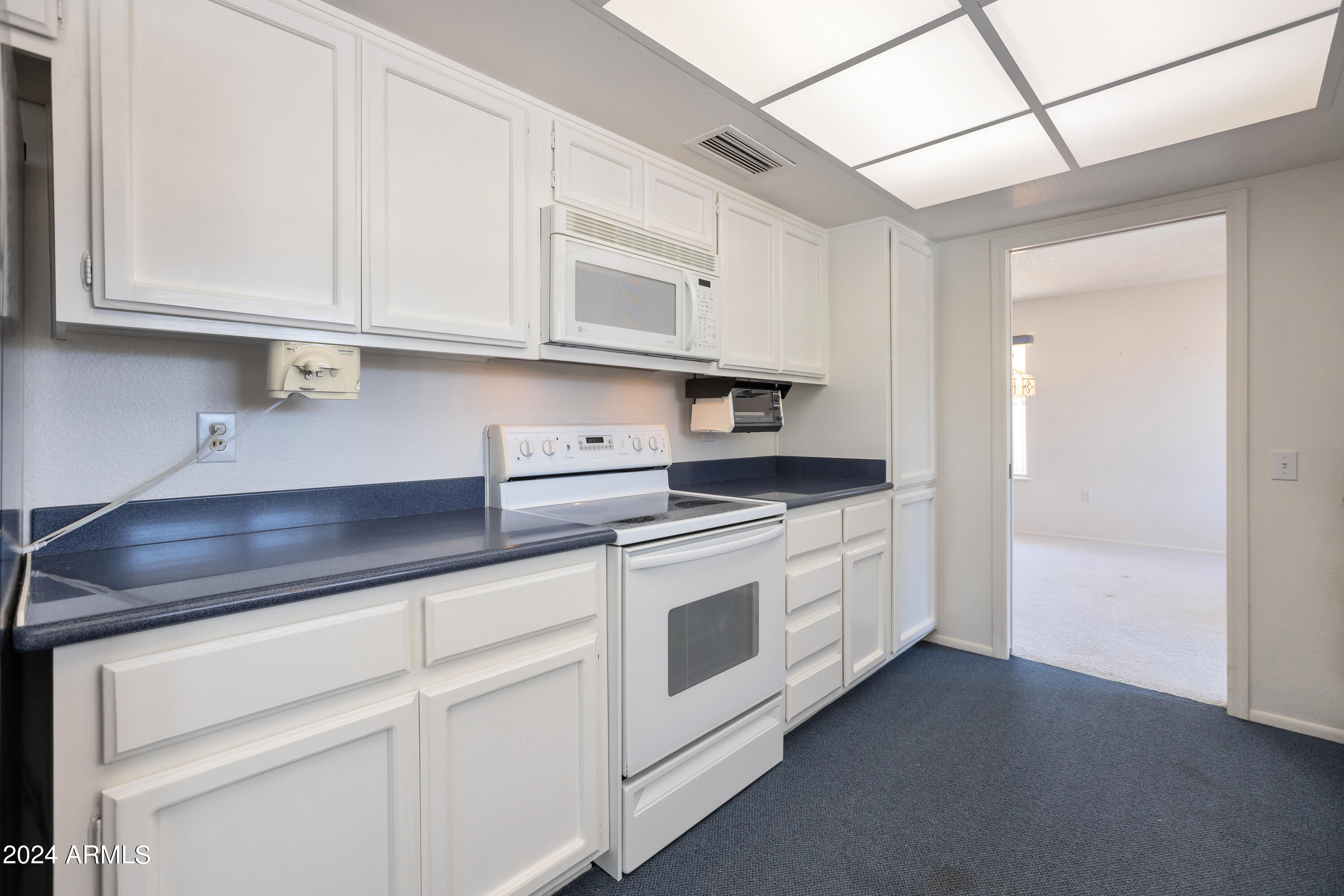13307 W BLUE BONNET Drive