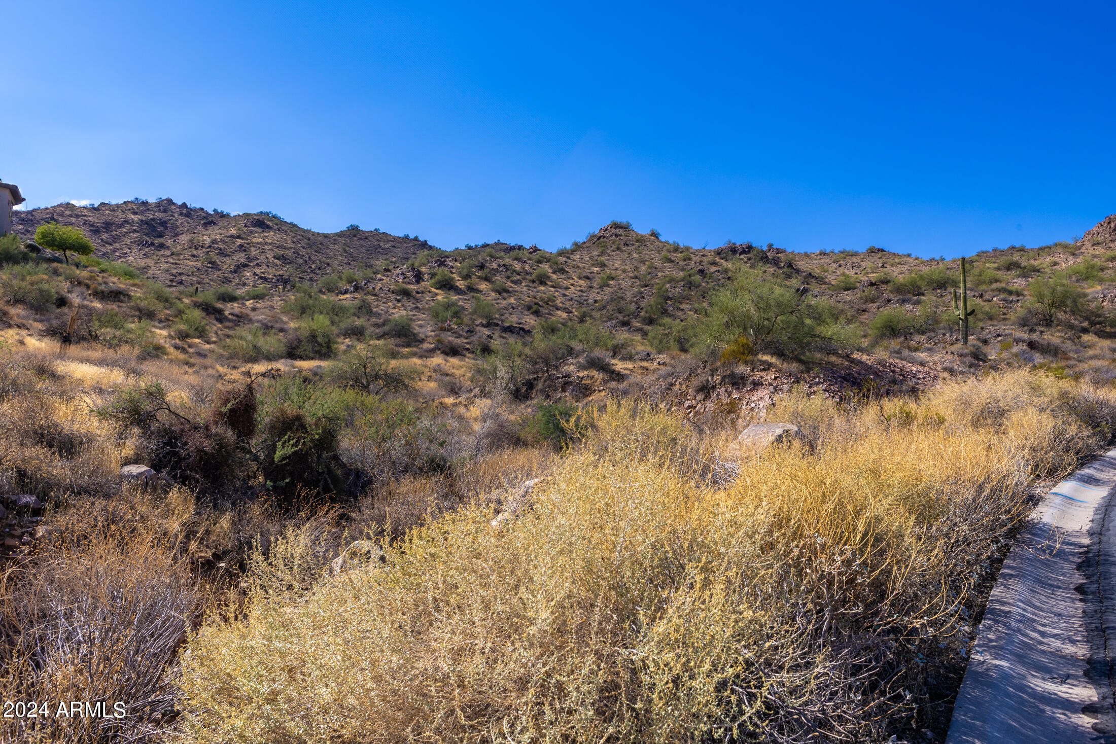 14625 N DEER TRAIL Court # 14