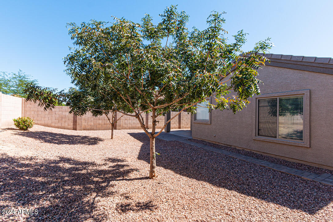 24010 W WAYLAND Drive