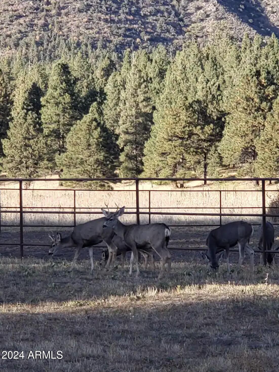 8950 W ANTOINETTE Way