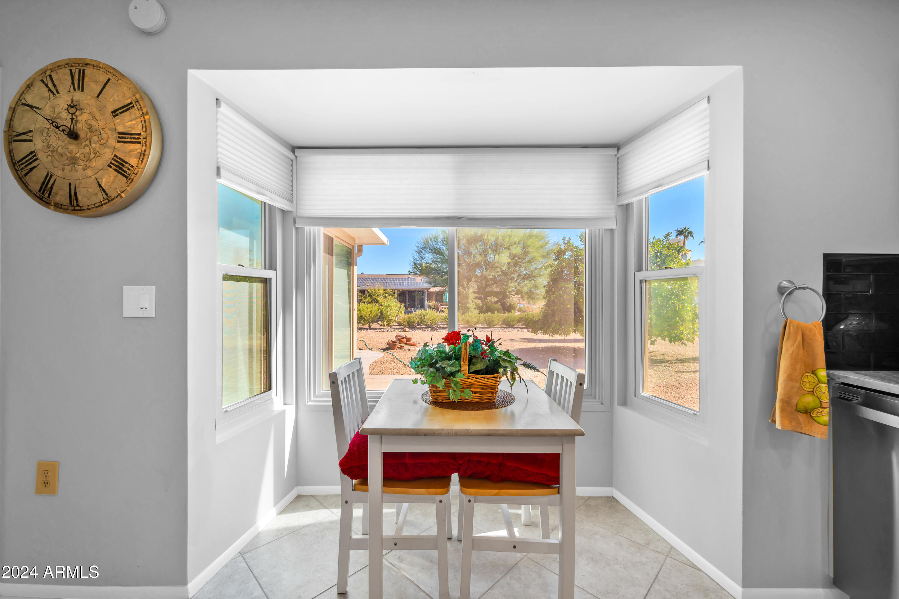 13202 W SPANISH GARDEN Drive