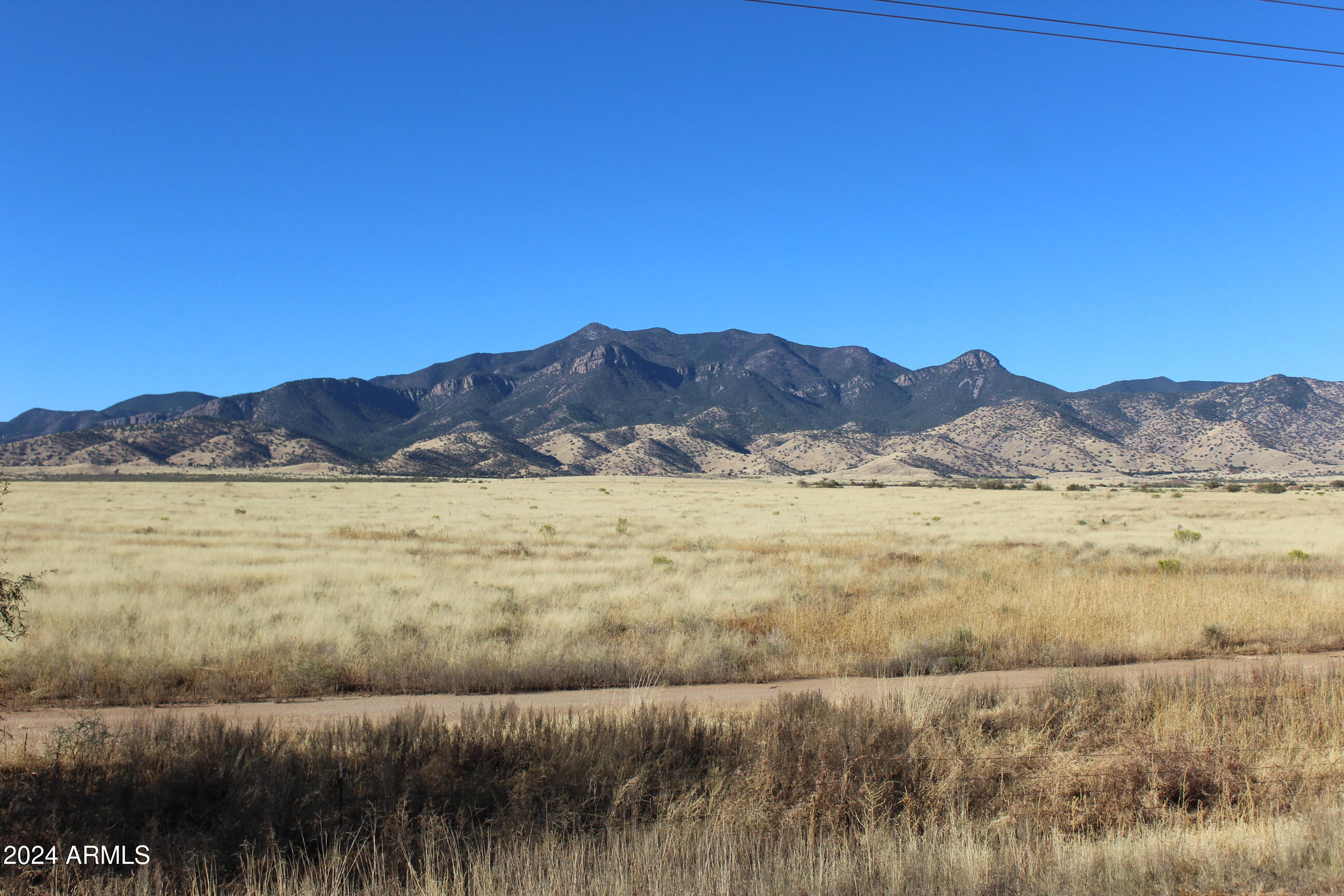 1751 Wildflower Drive