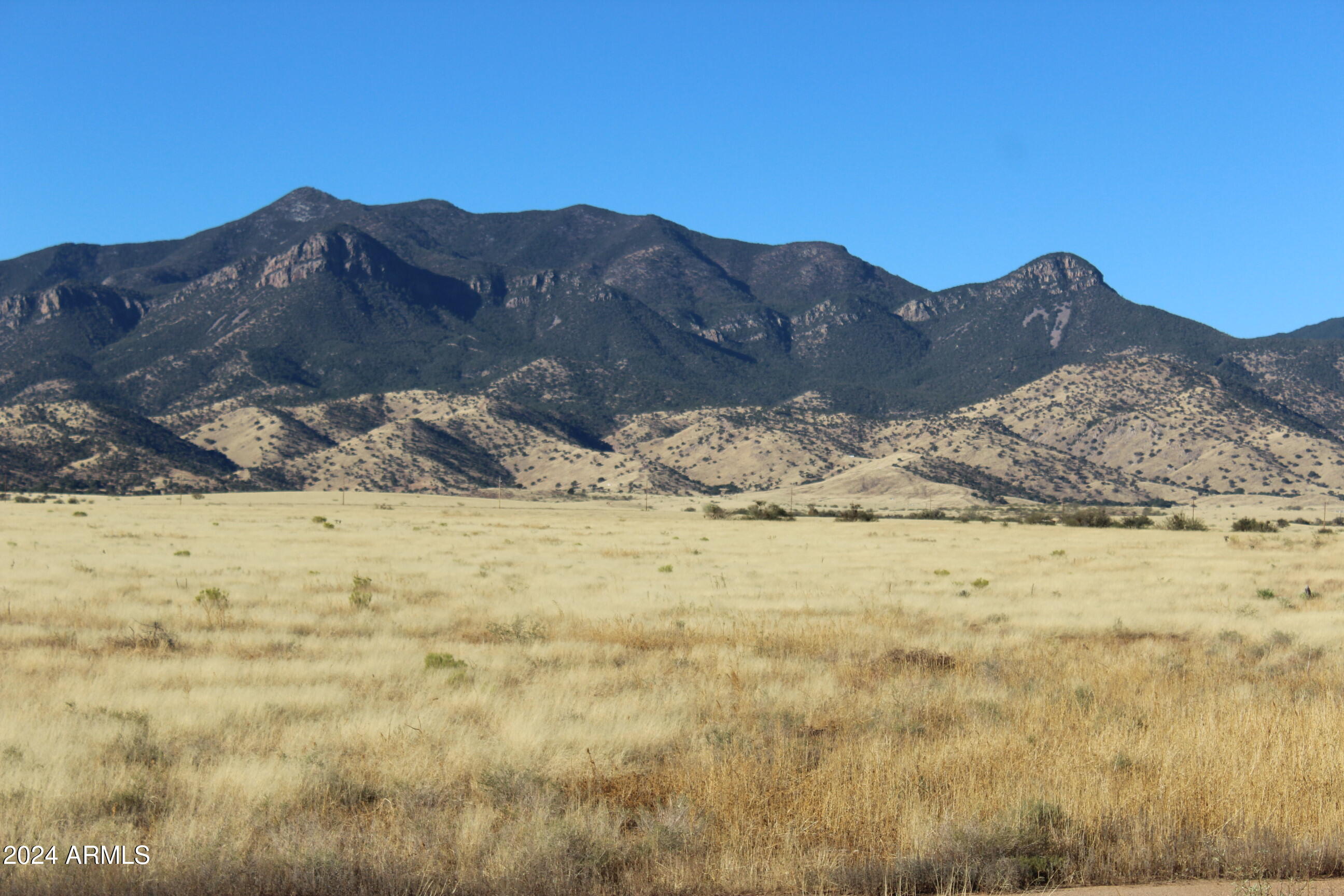 1751 Wildflower Drive