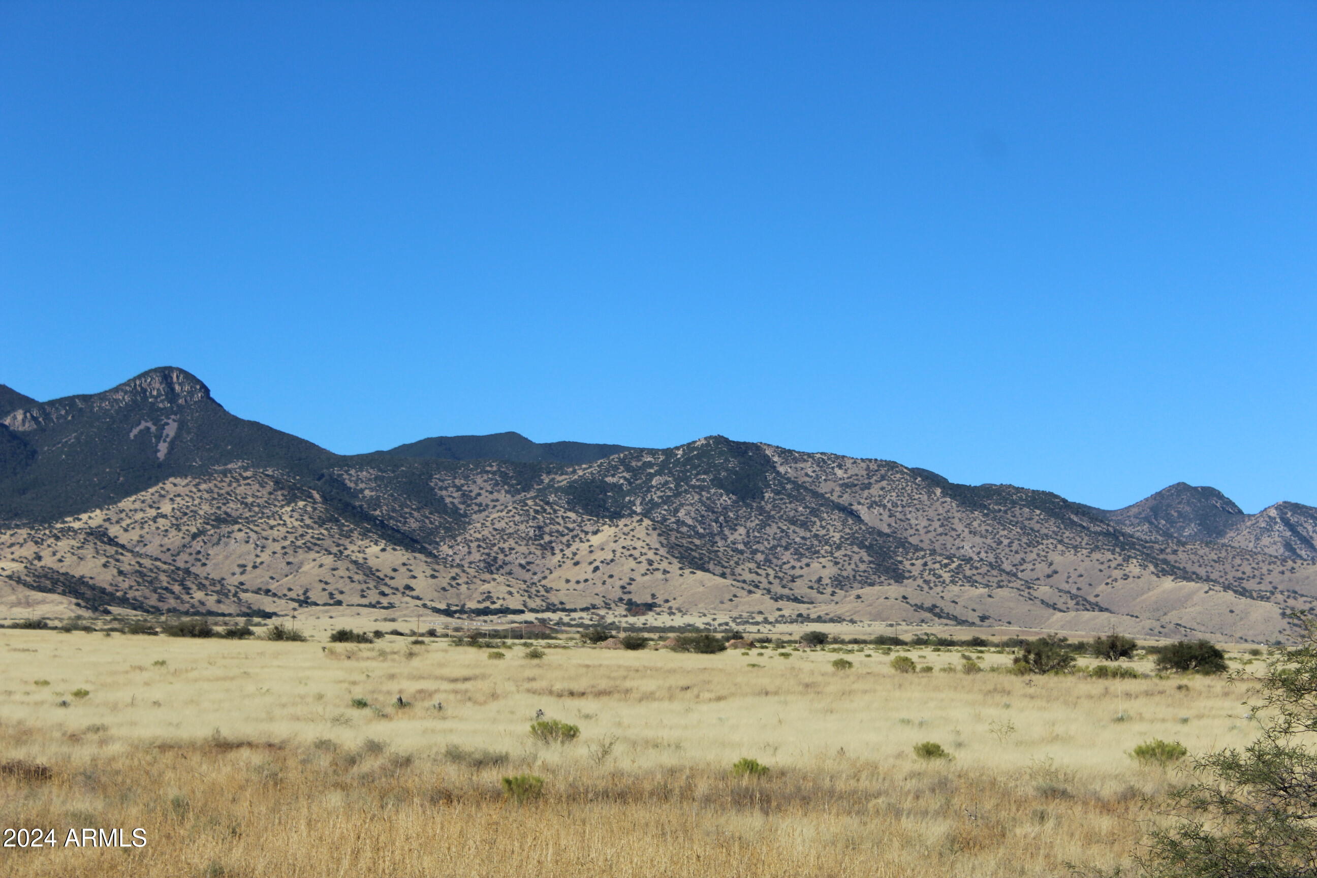 1751 Wildflower Drive