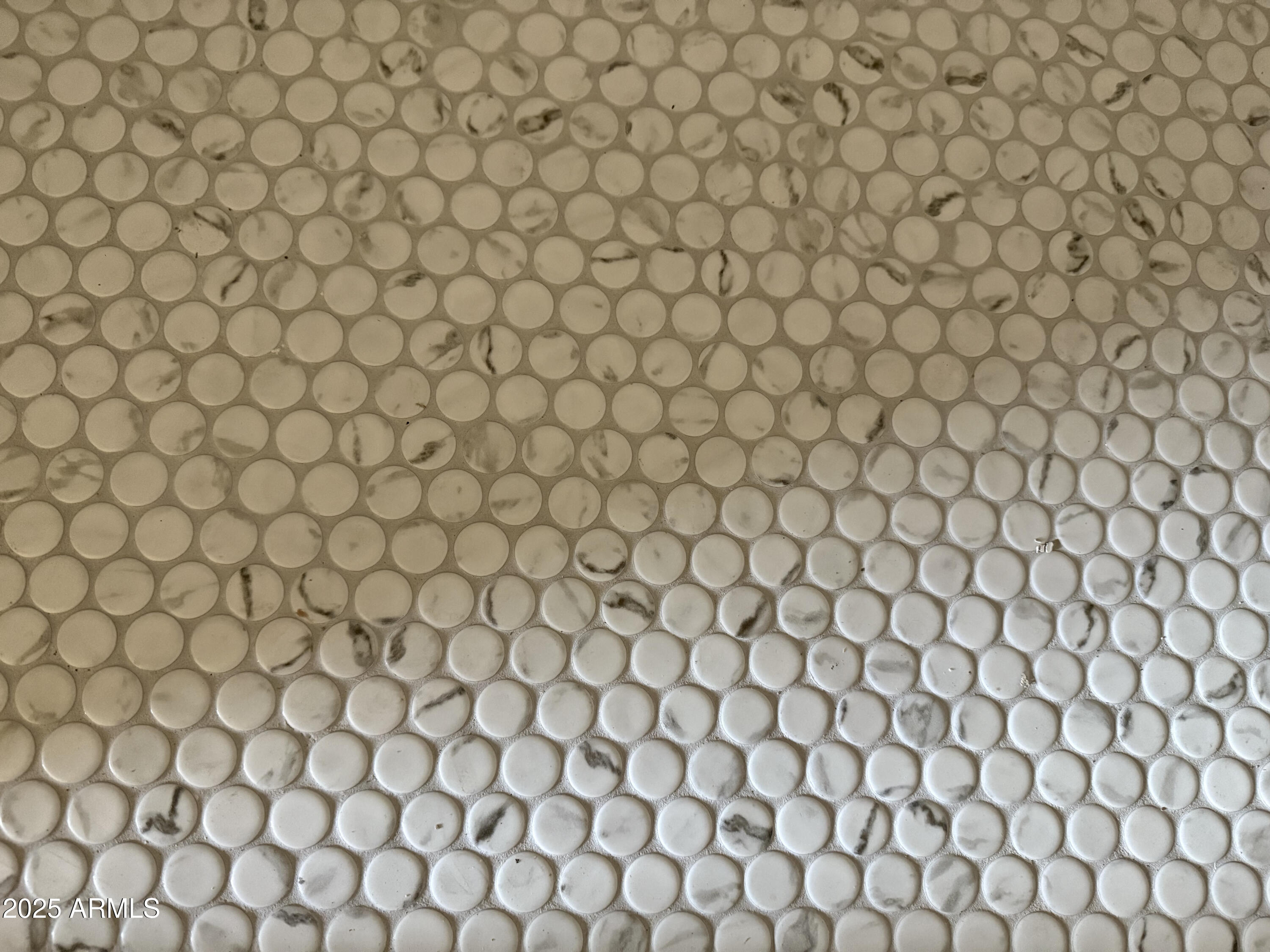 8236 E Orange Blossom Lane