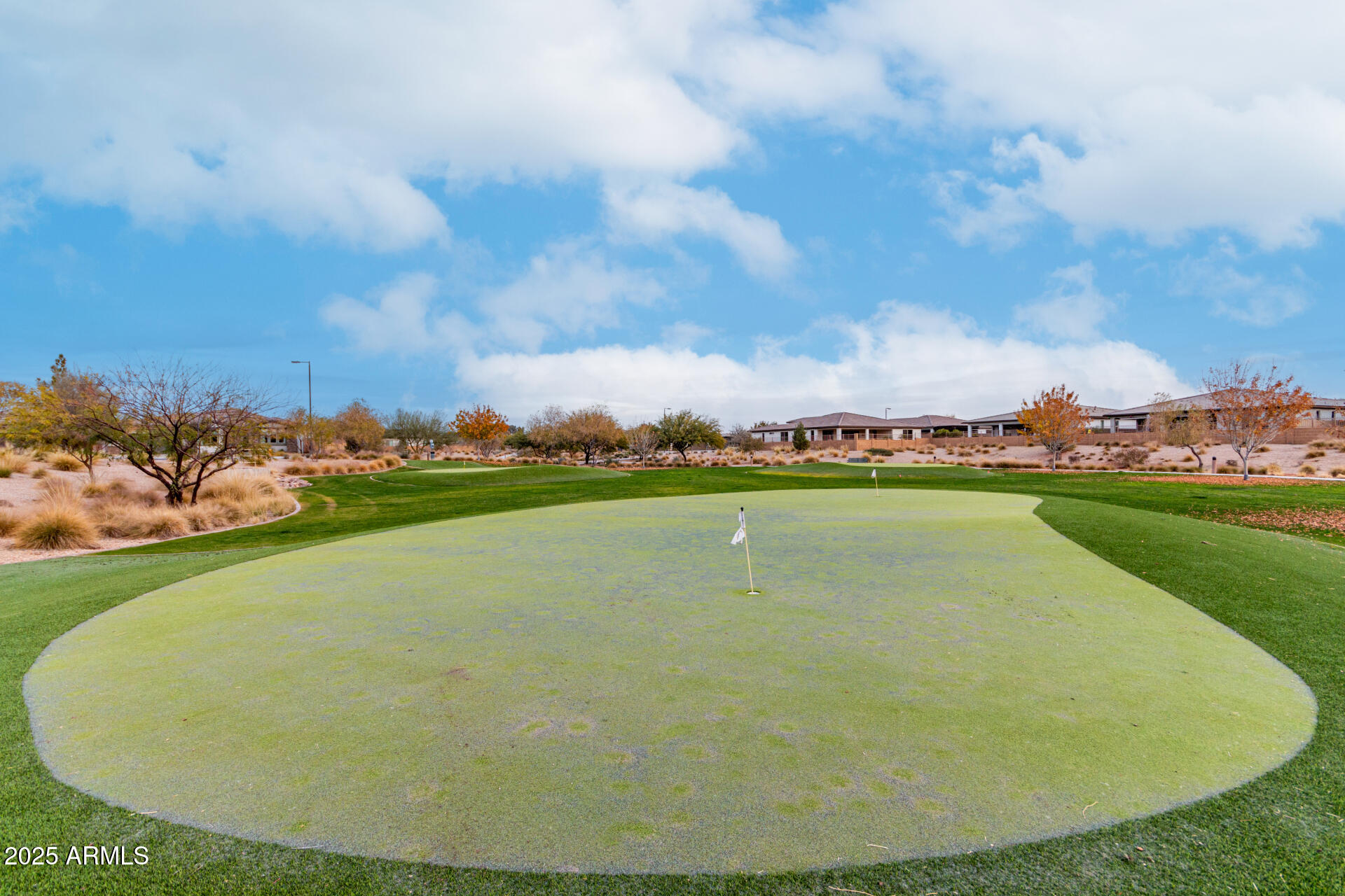 1312 W CALLE LUNA --