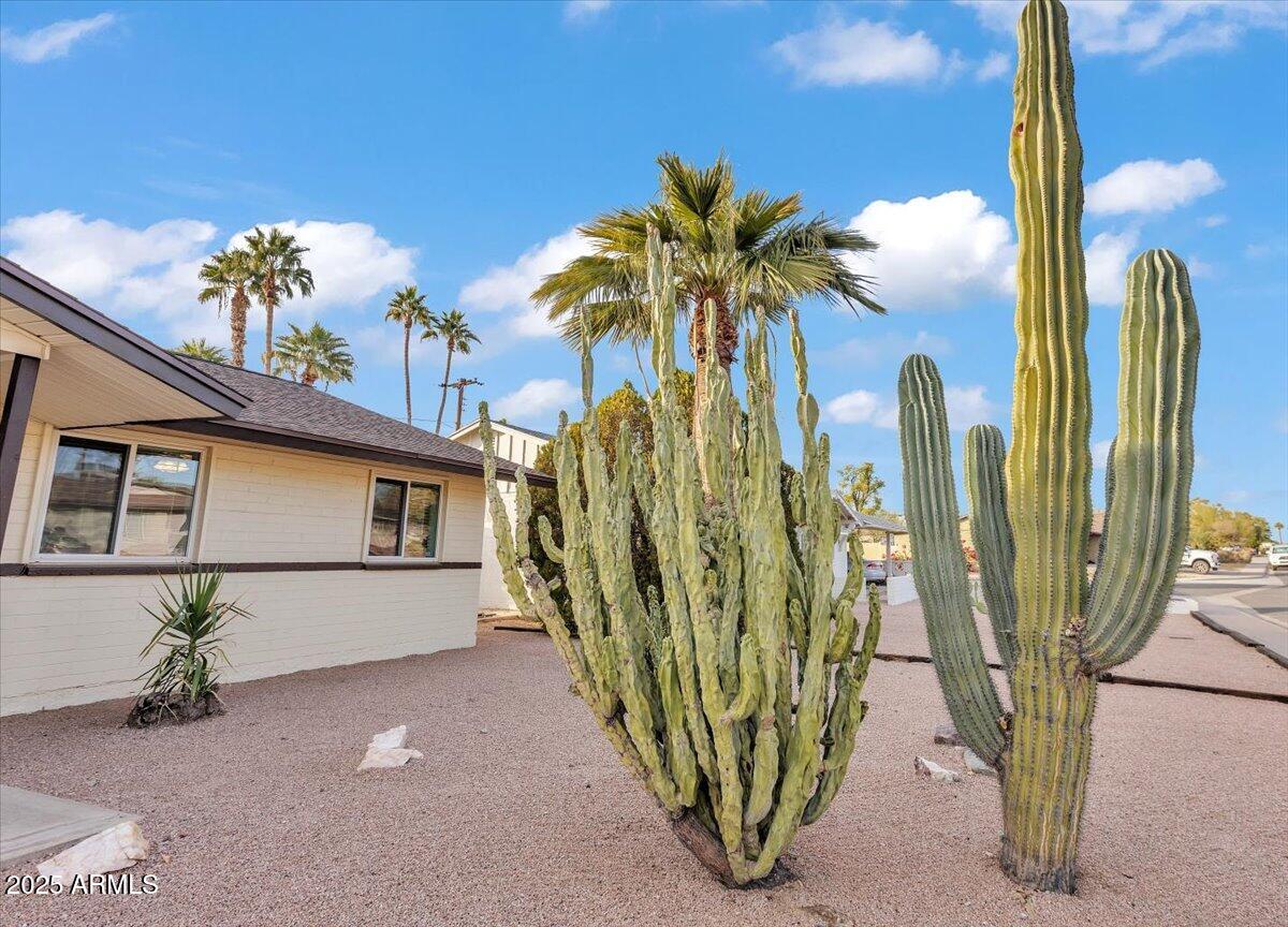 1618 N McAllister Avenue