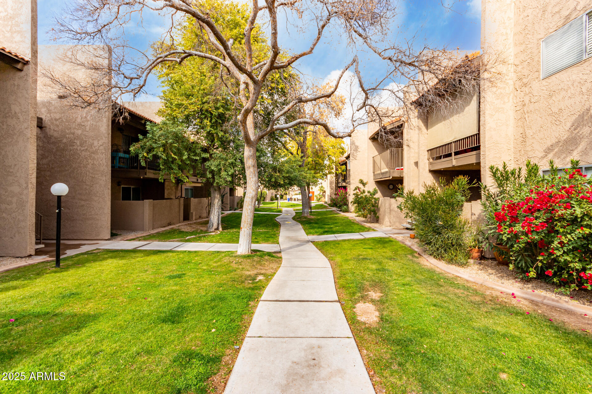 5525 E THOMAS Road # M15