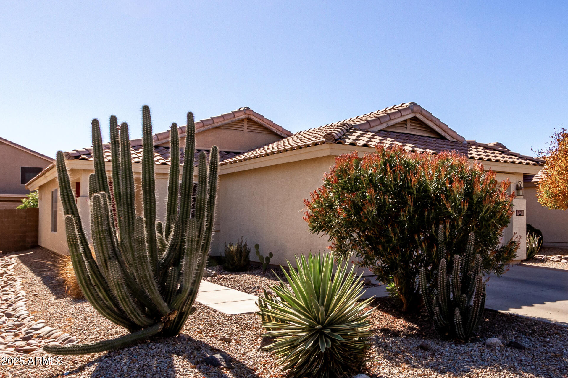 1151 E STARDUST Way