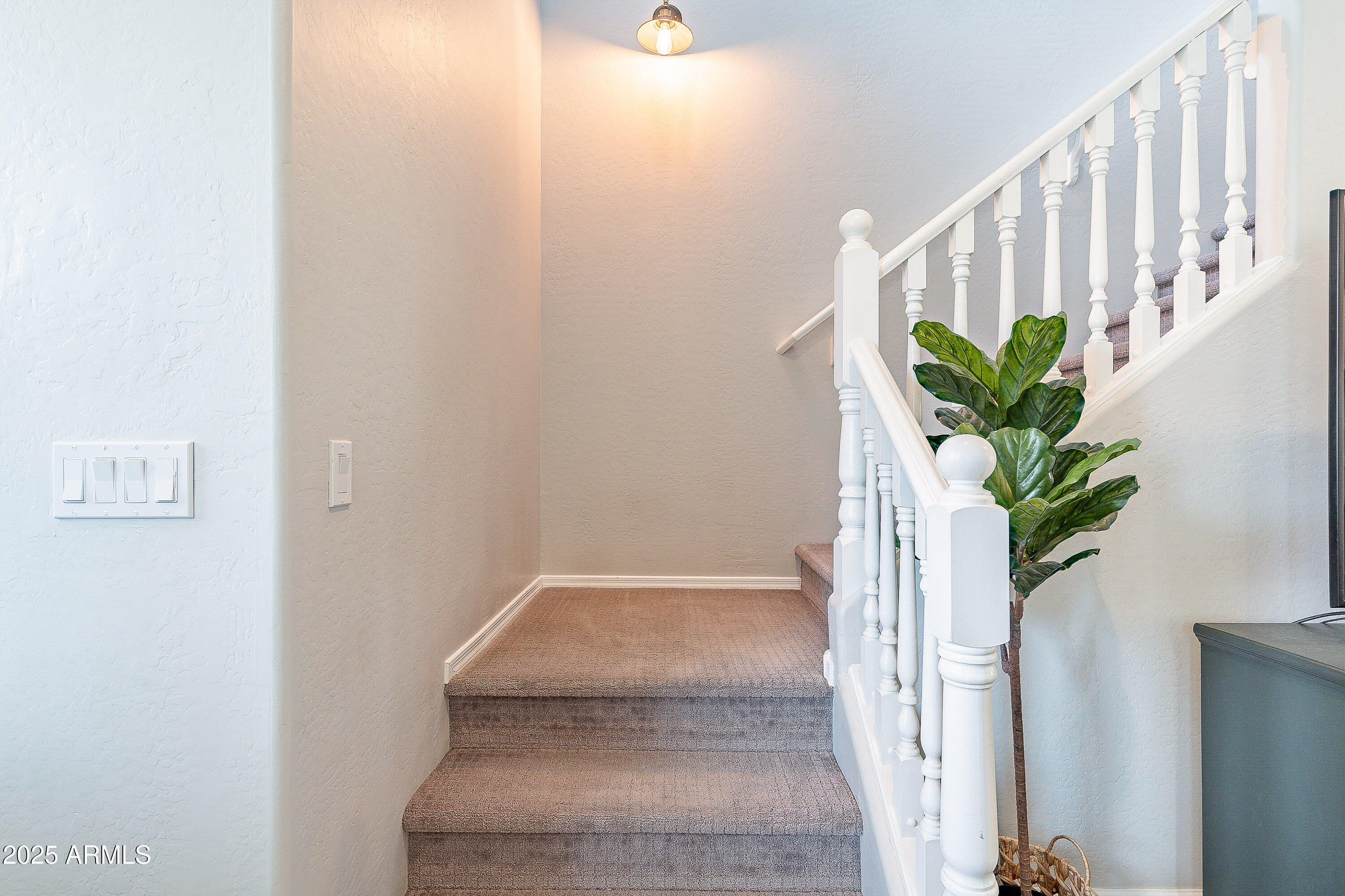 2469 S SAILORS Court