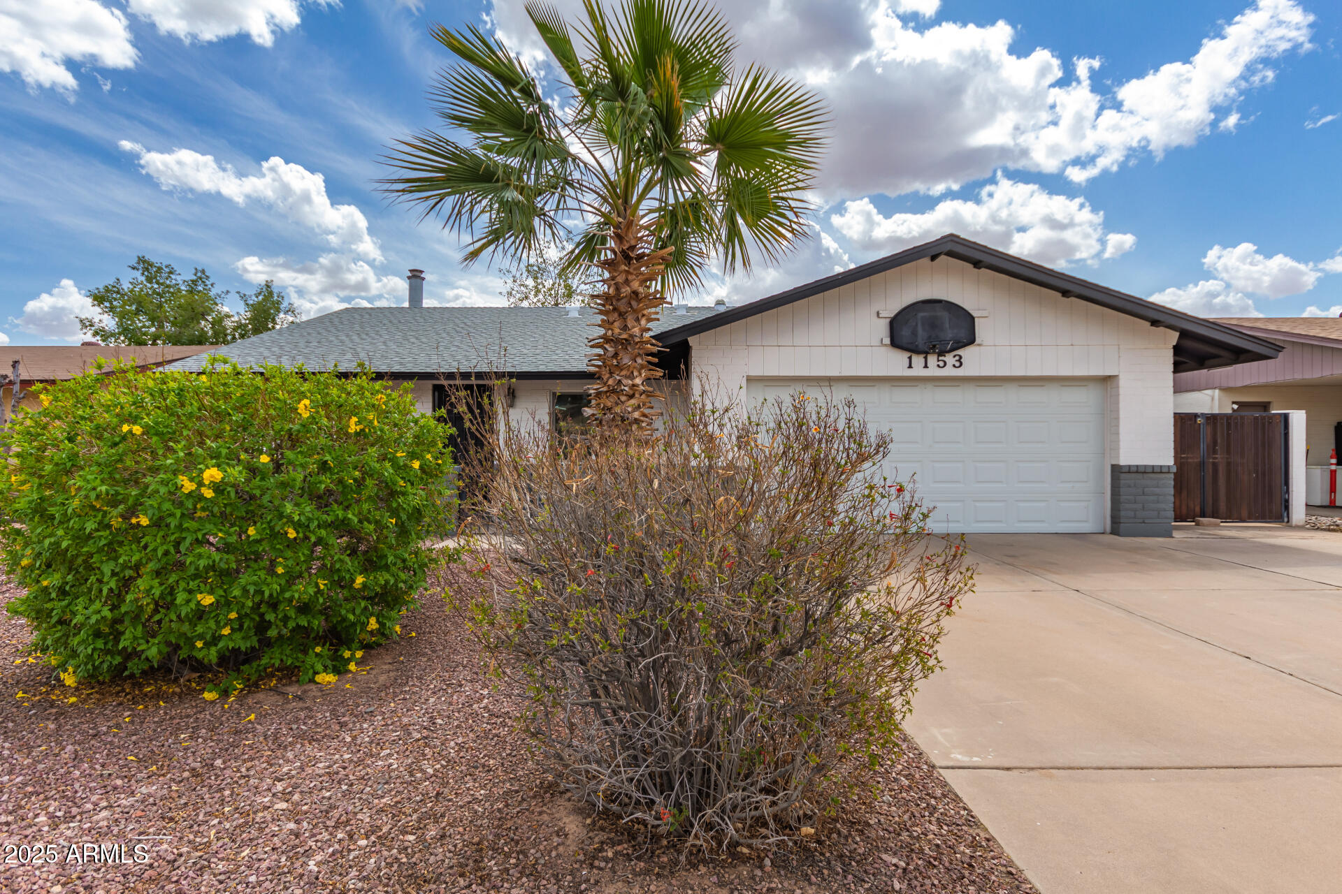 1153 W MESQUITE Street