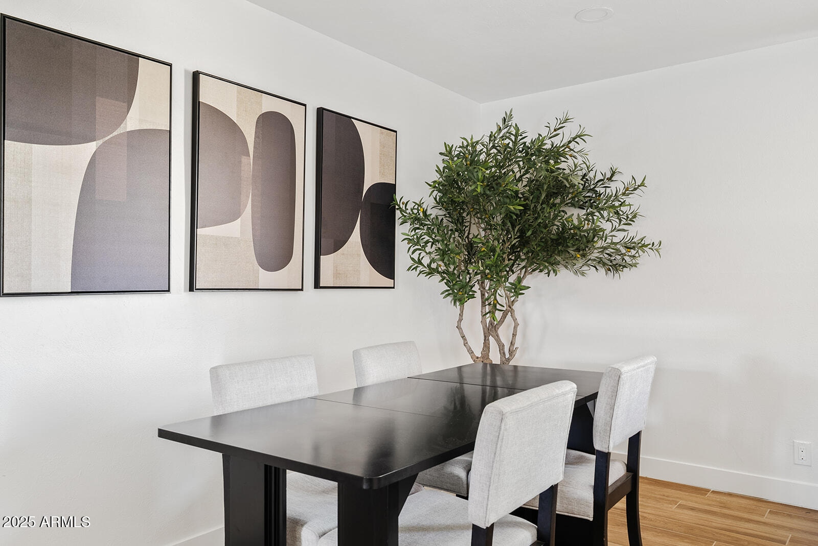 209 E MCKINLEY Street