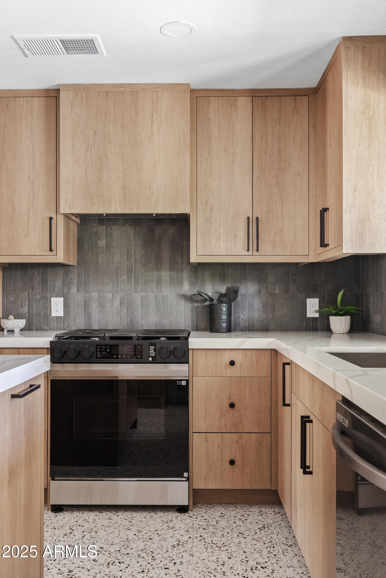 209 E MCKINLEY Street