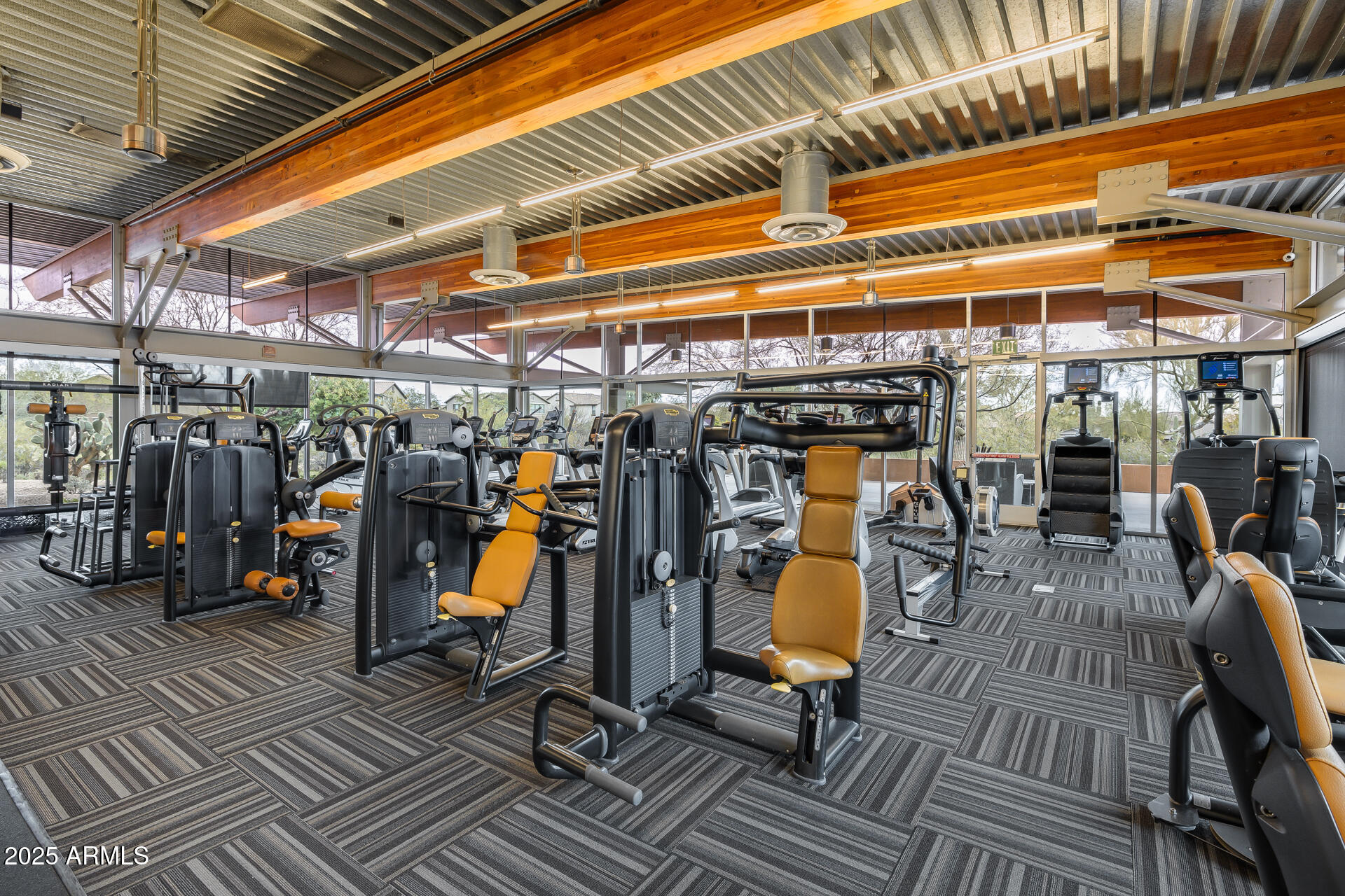 3983 E CAT BALUE Drive